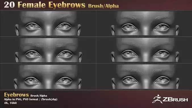 Female Eyebrows  Brushes And Alphas