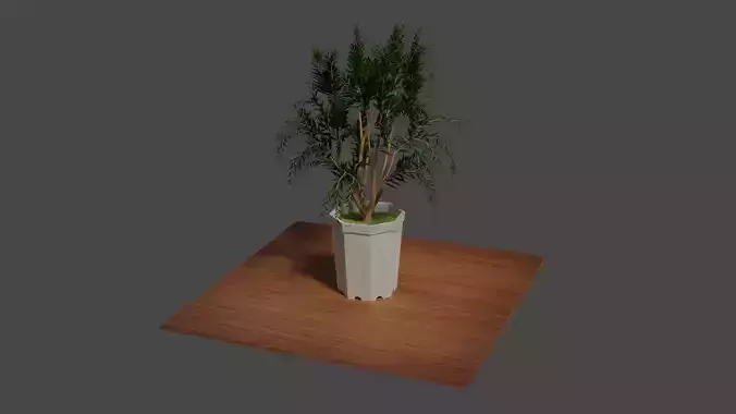 Tabletop Decoration Pot Plant