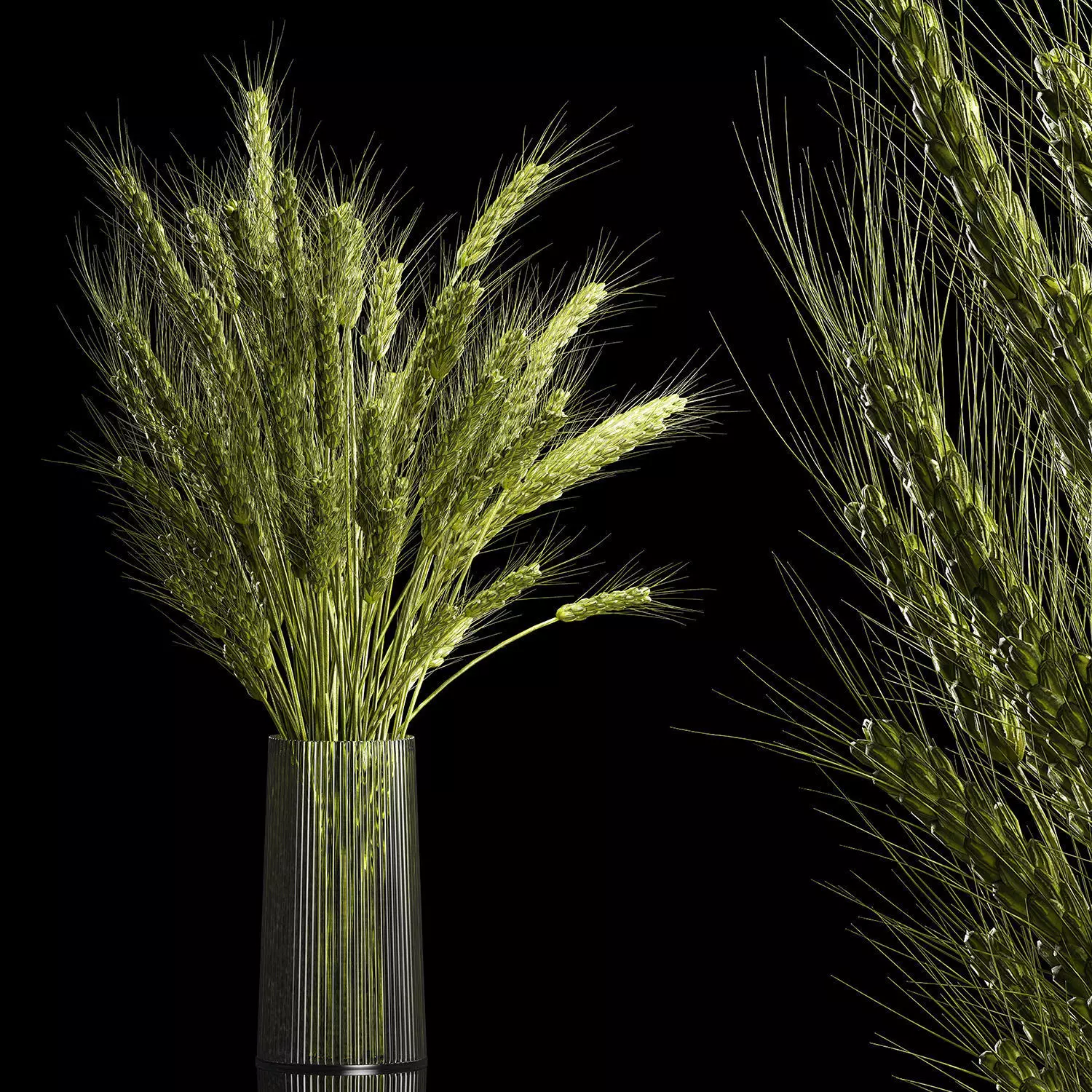 Bouquet Of Green Ears Of Wheat In A Vase 3D model_0