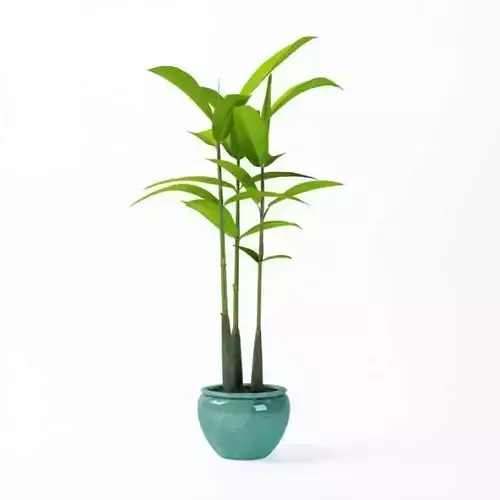 Green Plant With Blue Vase