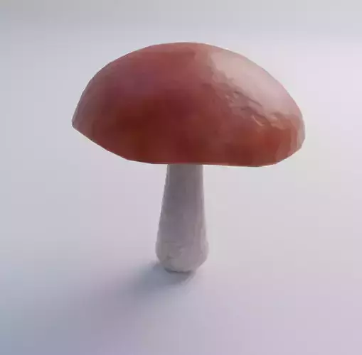 Mushroom
