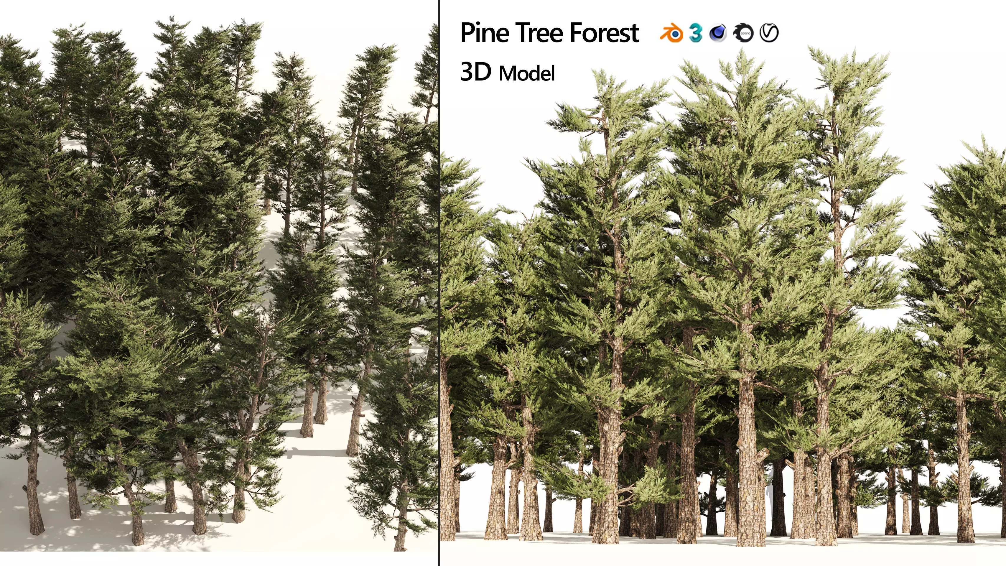 Pine forest trees Low-poly 3D model_0