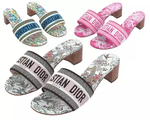 Dior Dway Heeled Slide