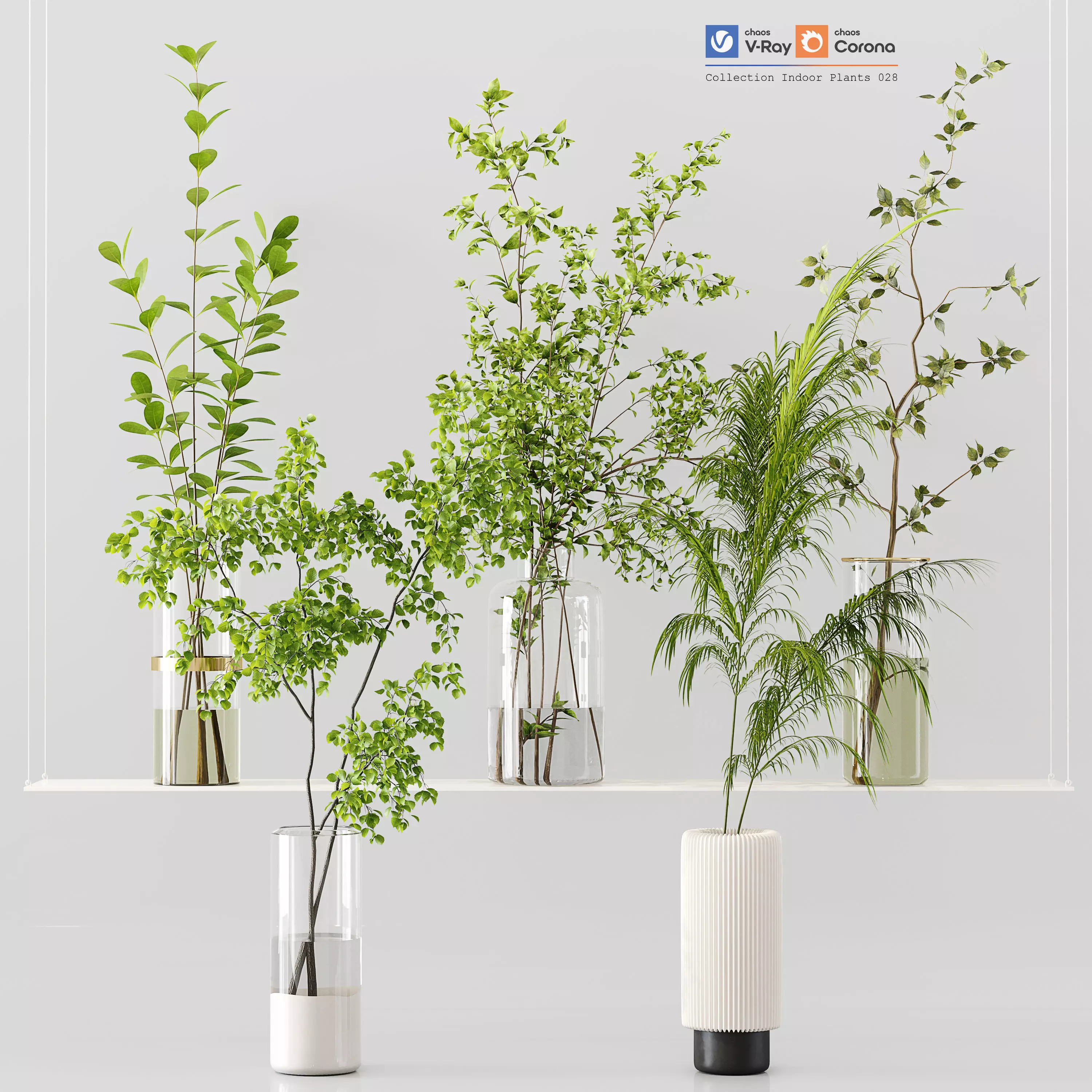 Collection Indoor Plants 028 3D model