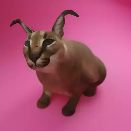 BIG FLOPPA 3D Model Free low-poly 3D model