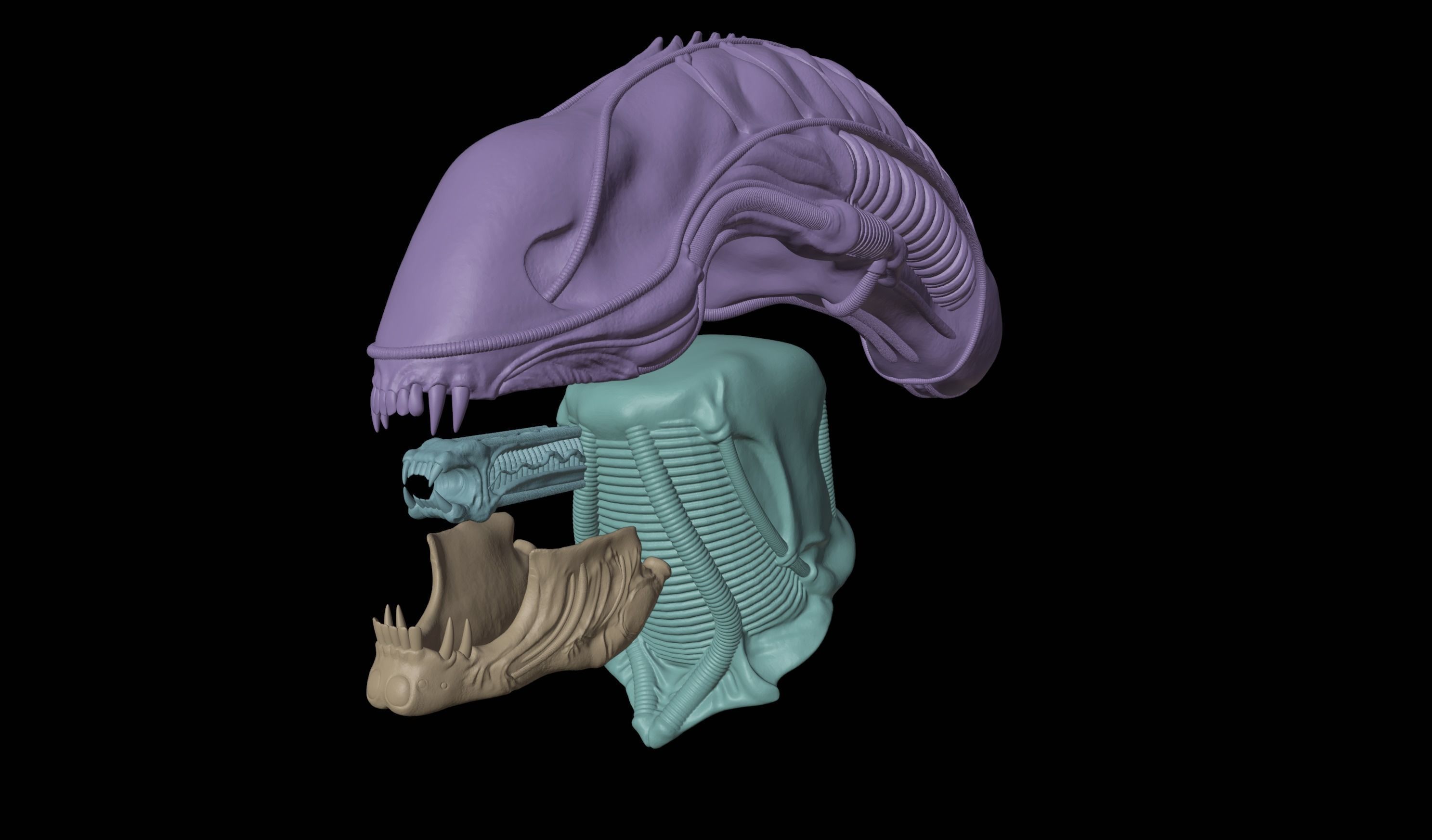 Aliens 1986 Screen Accurate Alien Warrior Head 3D Model 3D print model_8