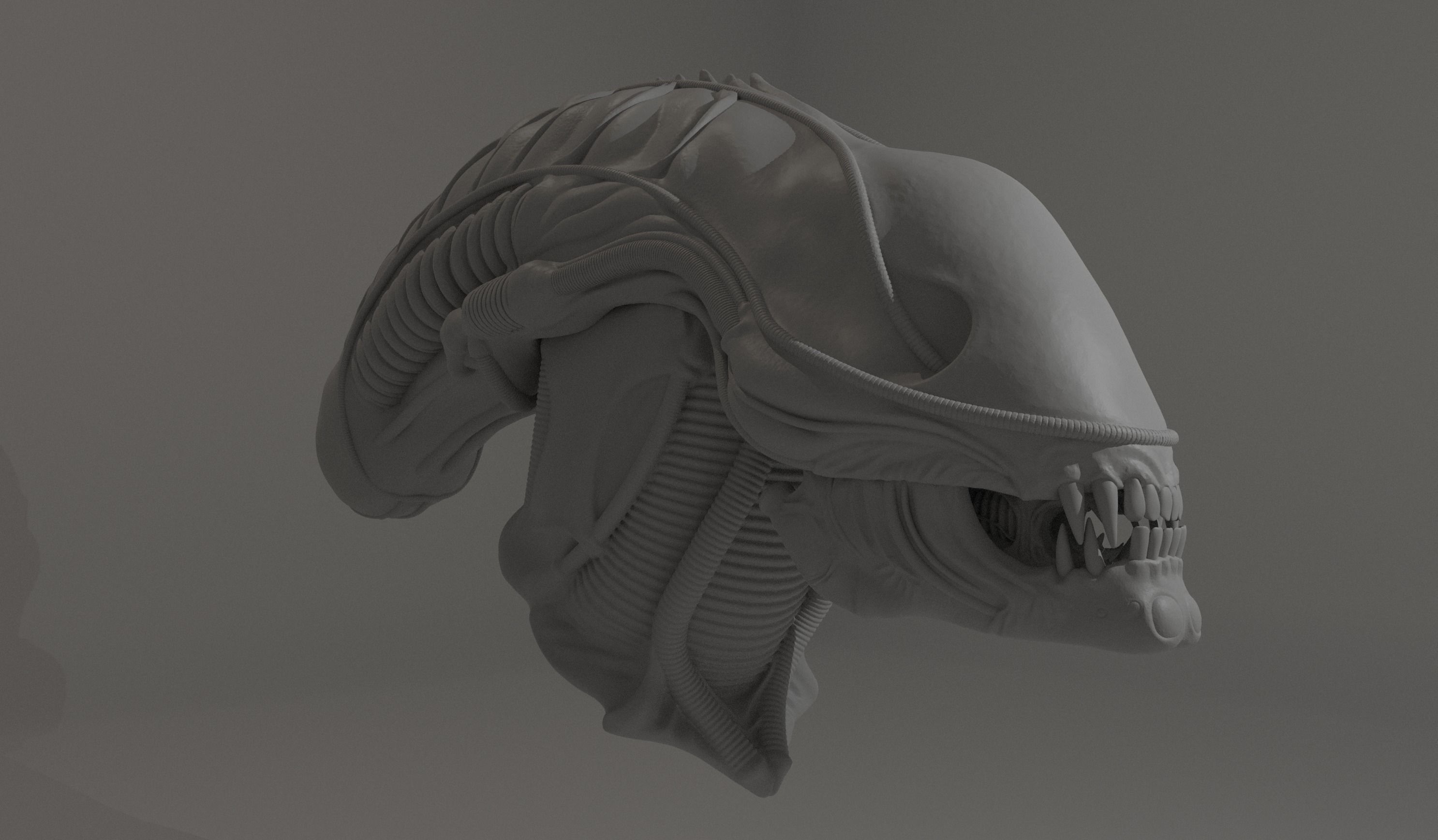 Aliens 1986 Screen Accurate Alien Warrior Head 3D Model 3D print model_2