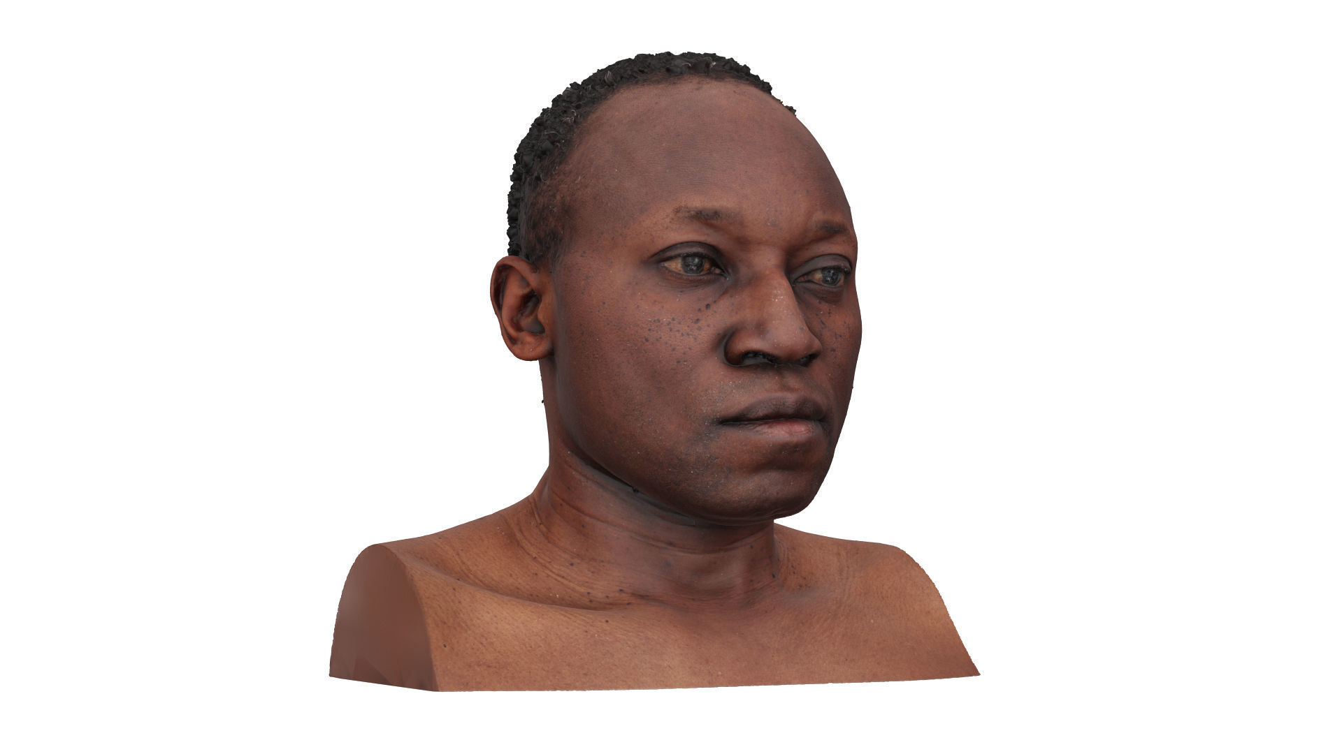 Raw Head Scan Dameon Chatman 3D model_2