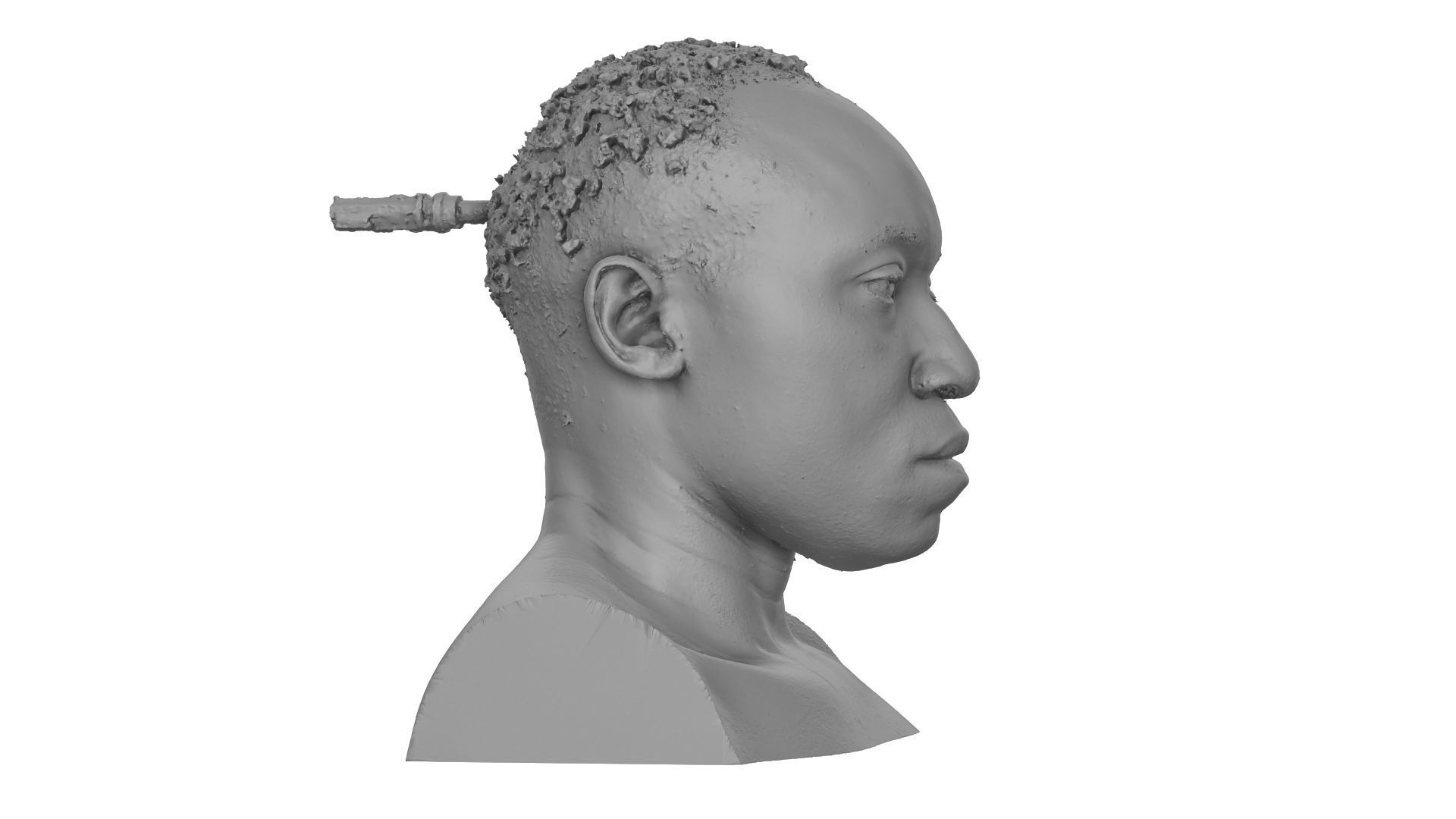 Raw Head Scan Dameon Chatman 3D model_6