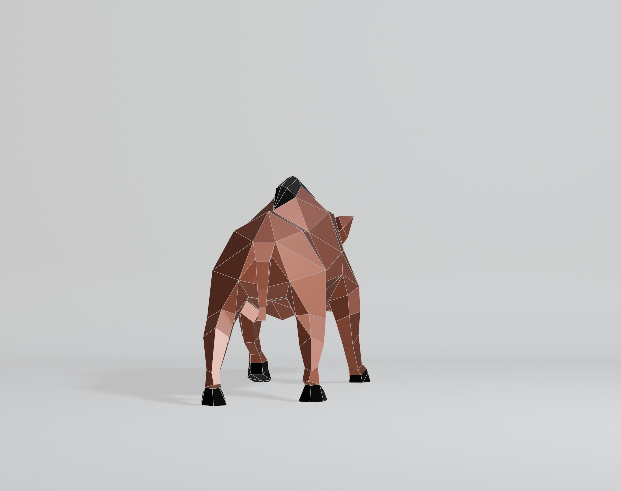 Polygonal Warthog Low-poly 3D model_8