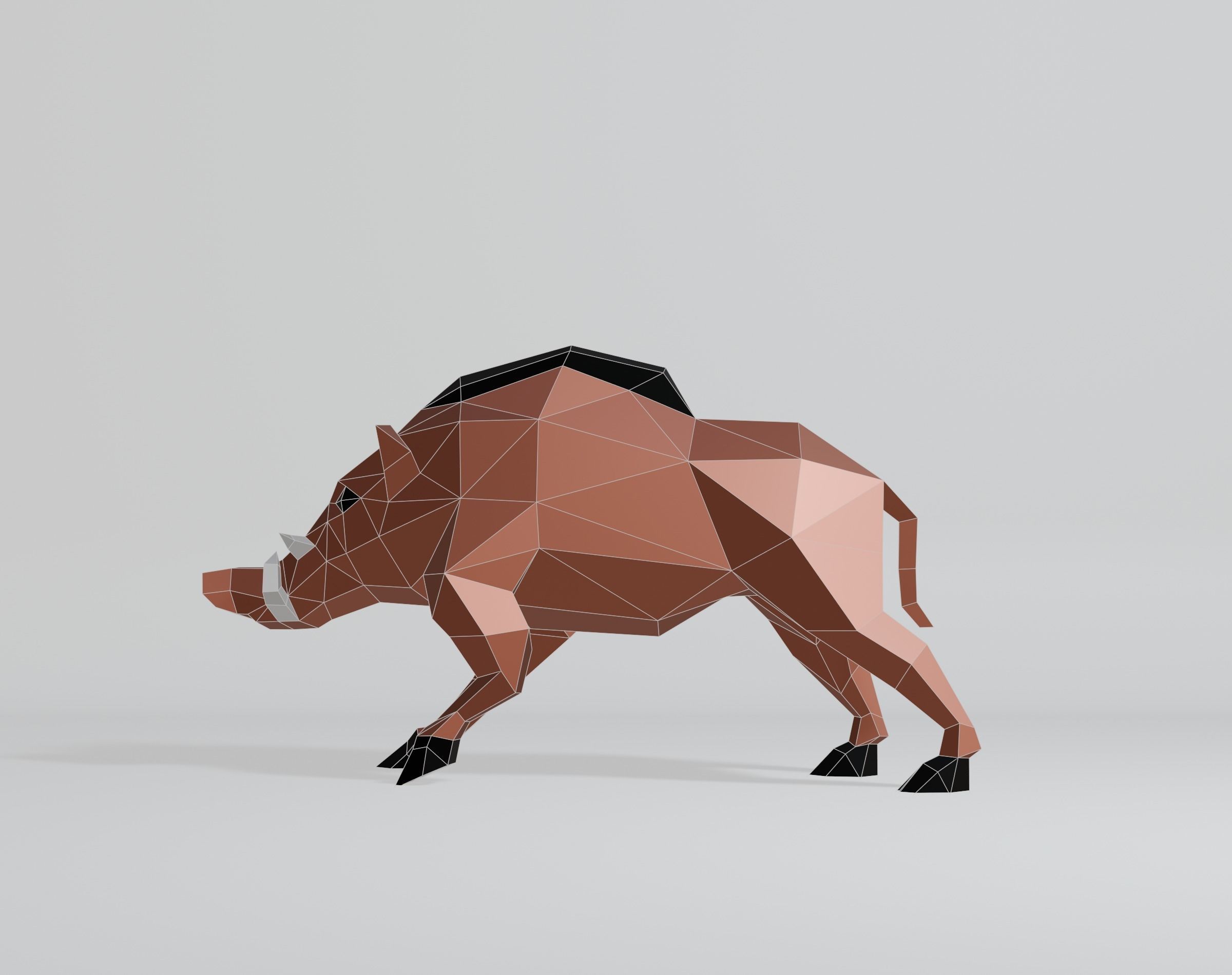 Polygonal Warthog Low-poly 3D model_12