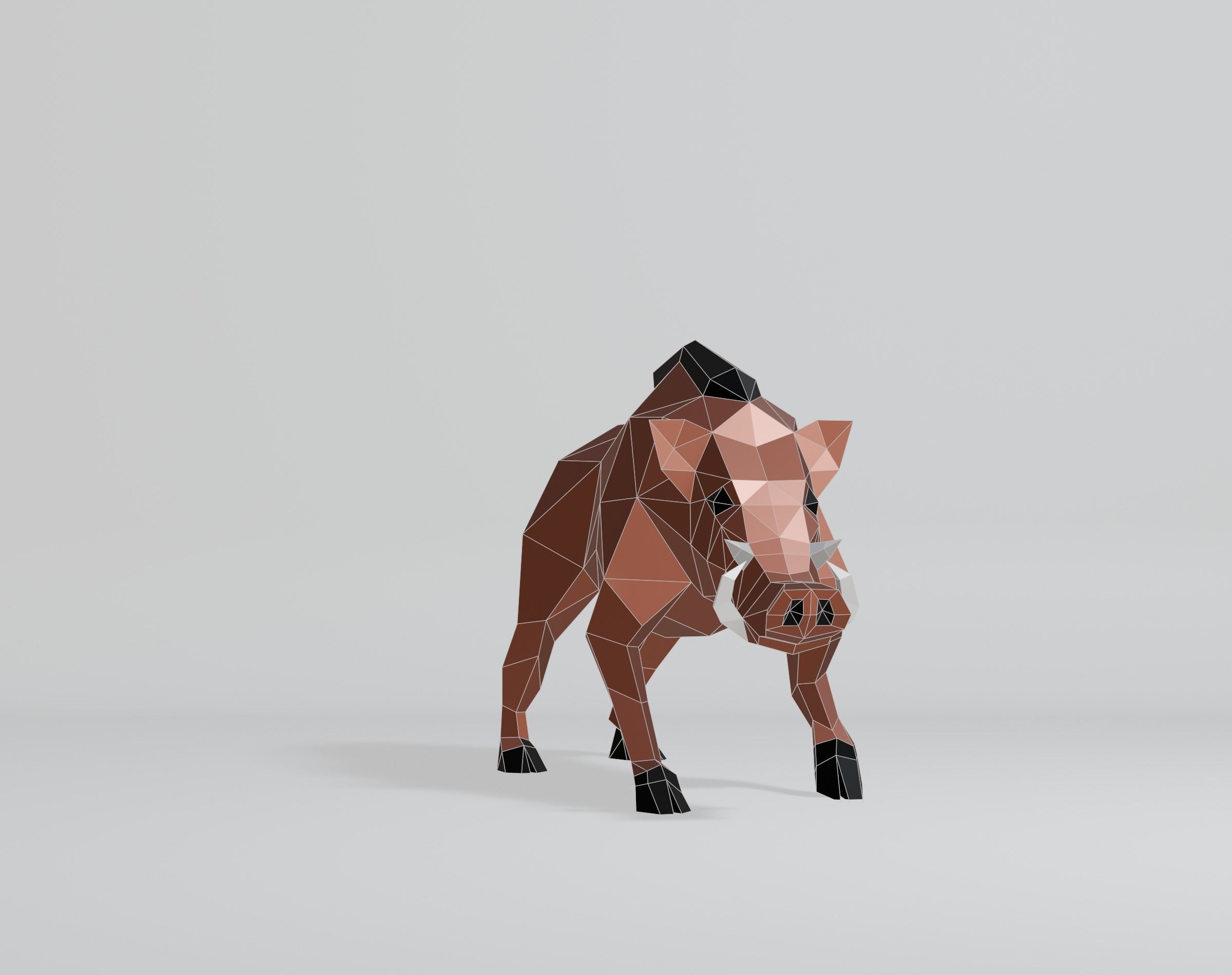 Polygonal Warthog Low-poly 3D model_3