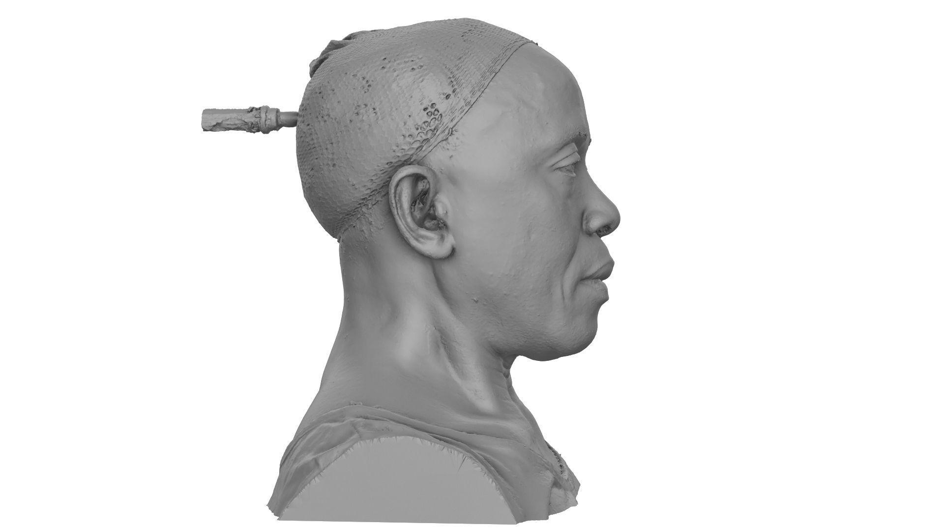 Raw Head Scan Dimetrice Moss 3D model_6