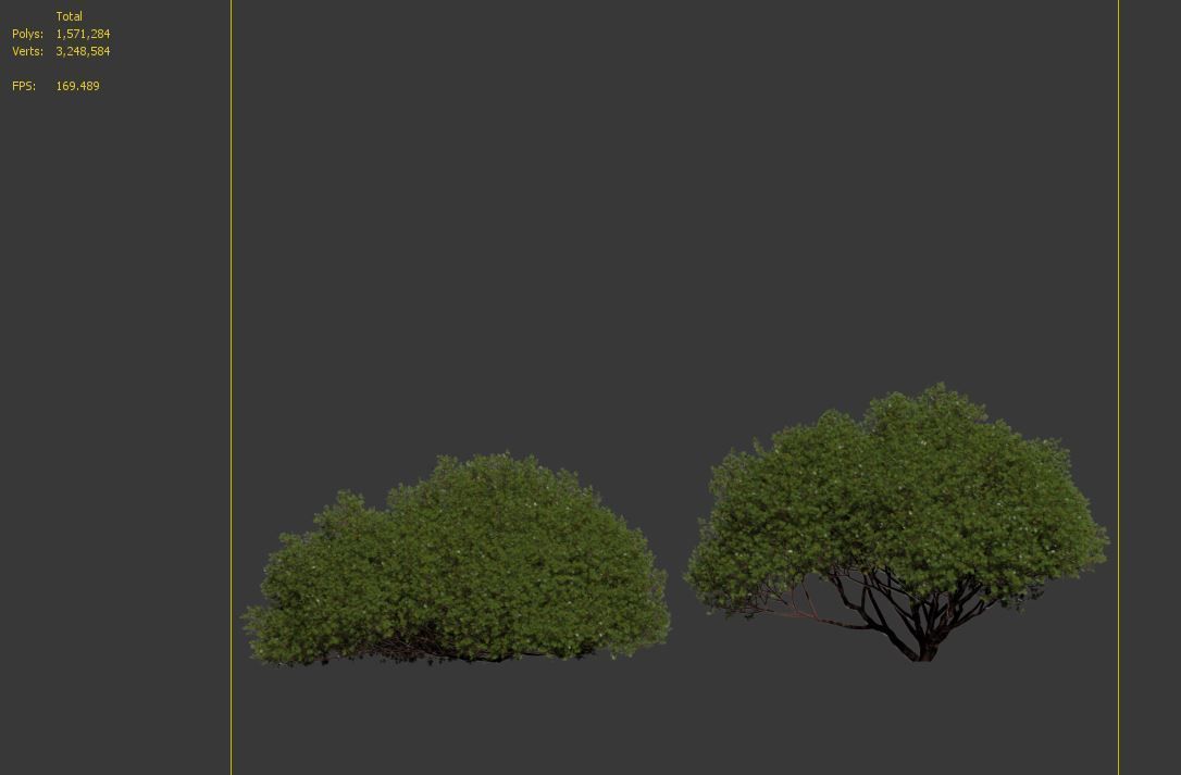 Arctostaphylos densiflora 3D model_7