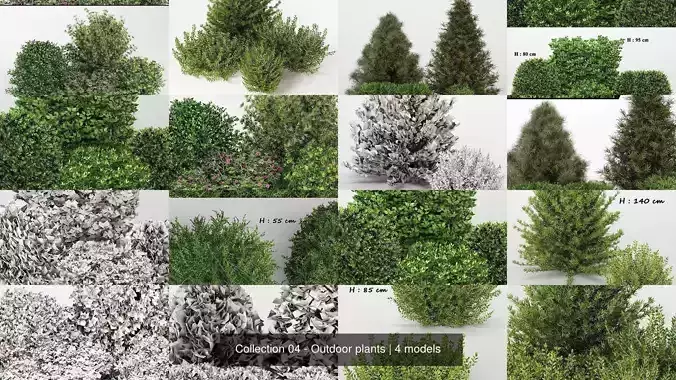 Collection 04 - Outdoor plants