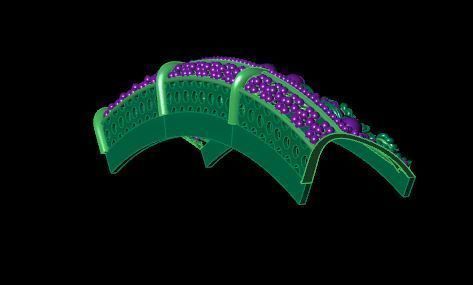 Bracelet 3D print model_6