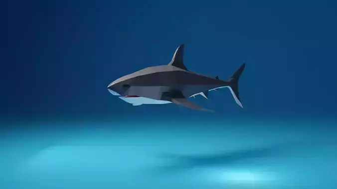 Low Poly Shark