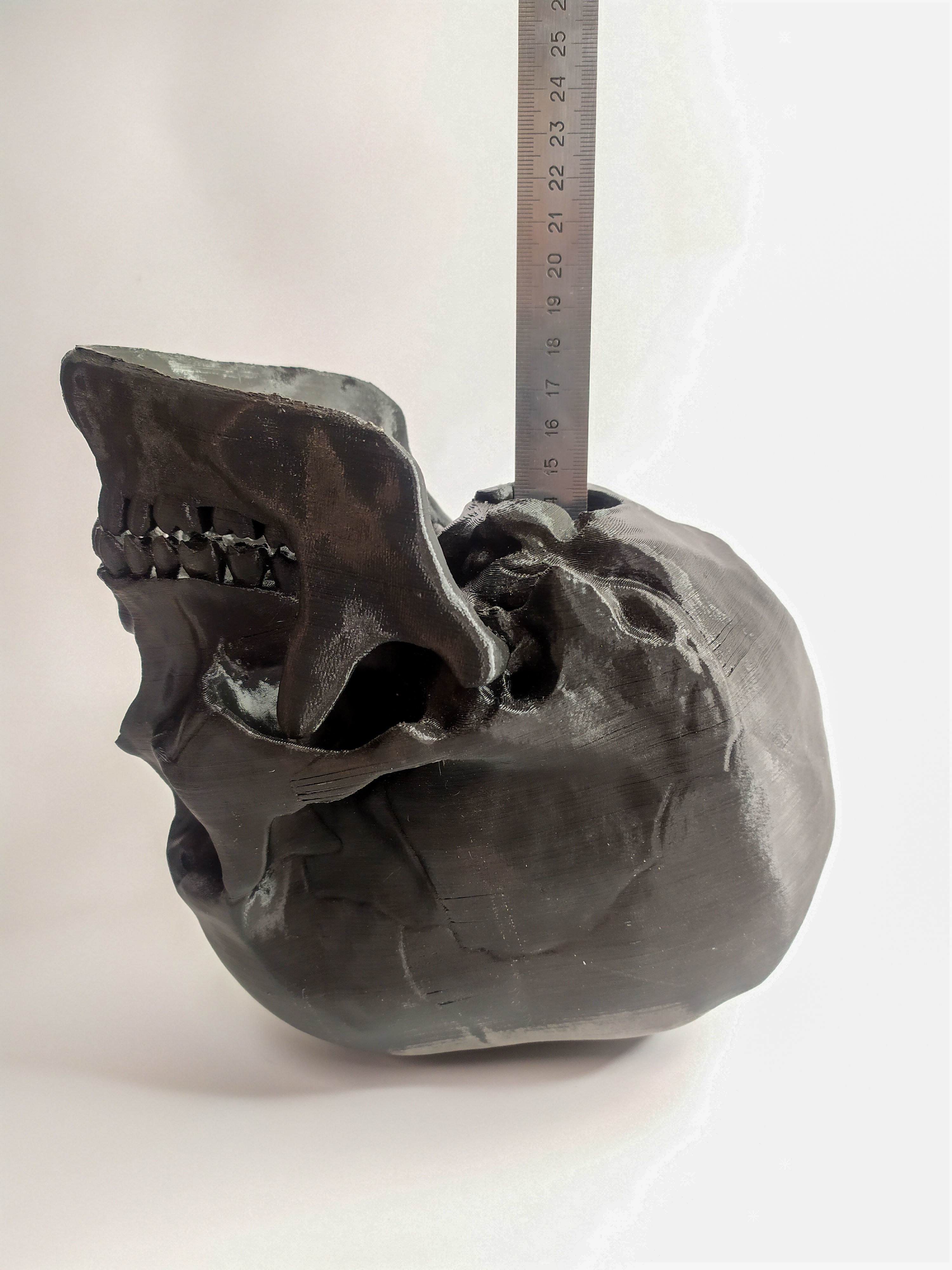 Human scull 3D print model_5