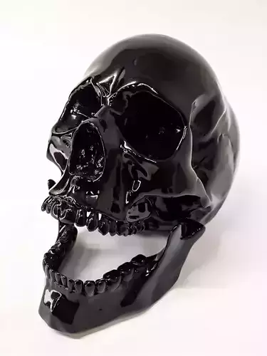 Human scull 3D print model