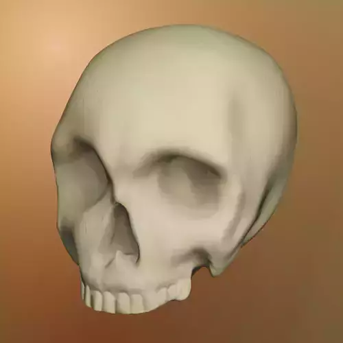 Skull ancient PBR 