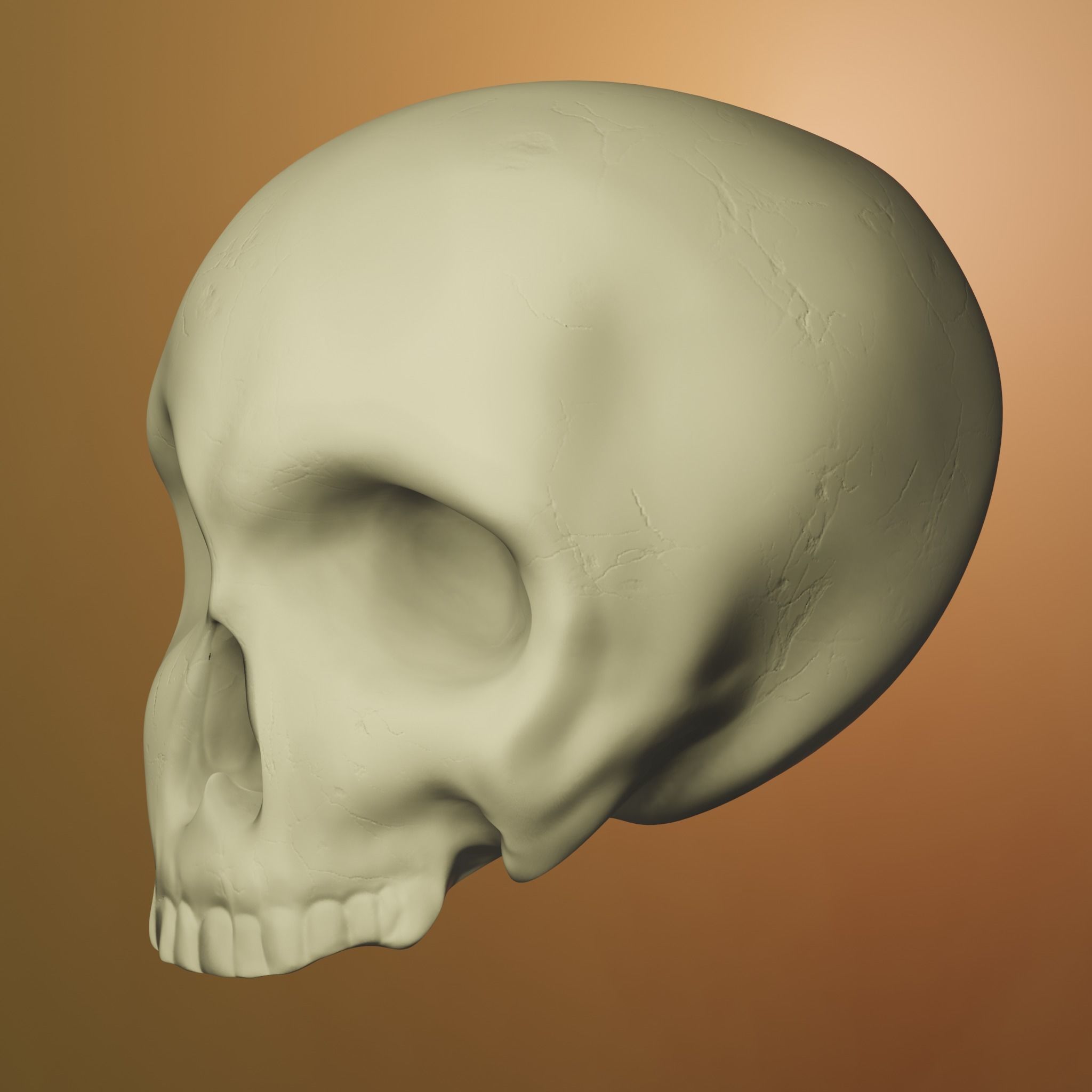 Skull ancient PBR  3D model_4