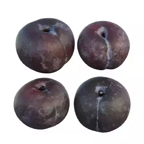 Purple plum