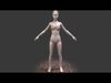 Characters Pack Vol I Low-poly 3D model_5