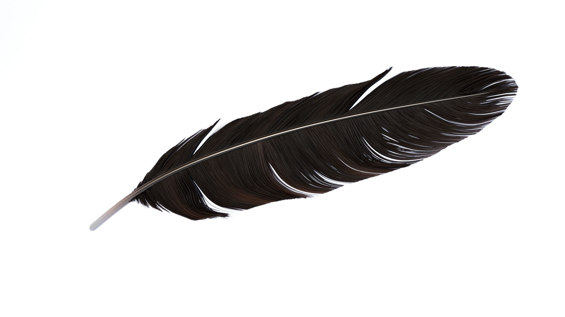 Crow Feather 3D model_1
