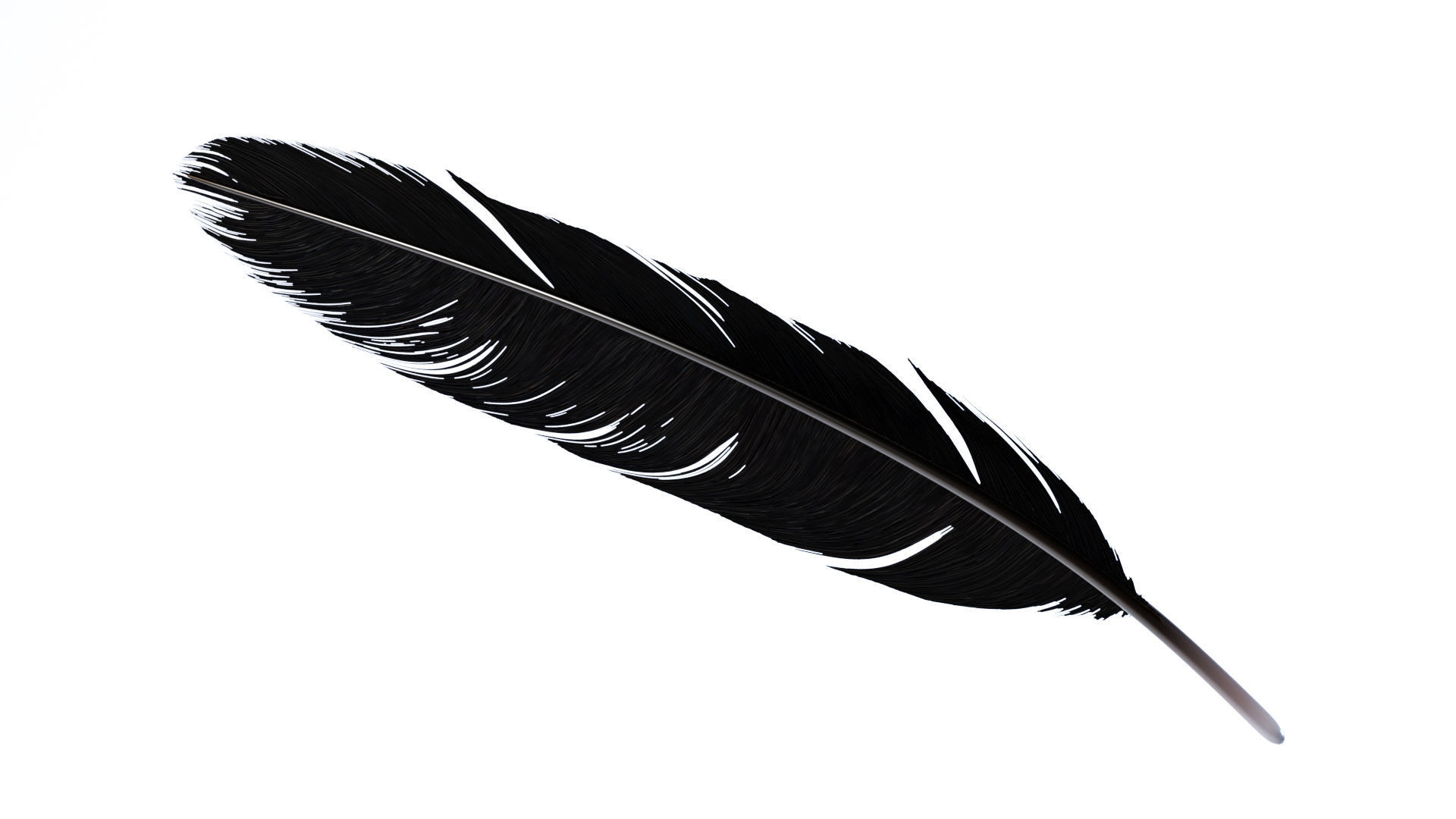 Crow Feather 3D model_21