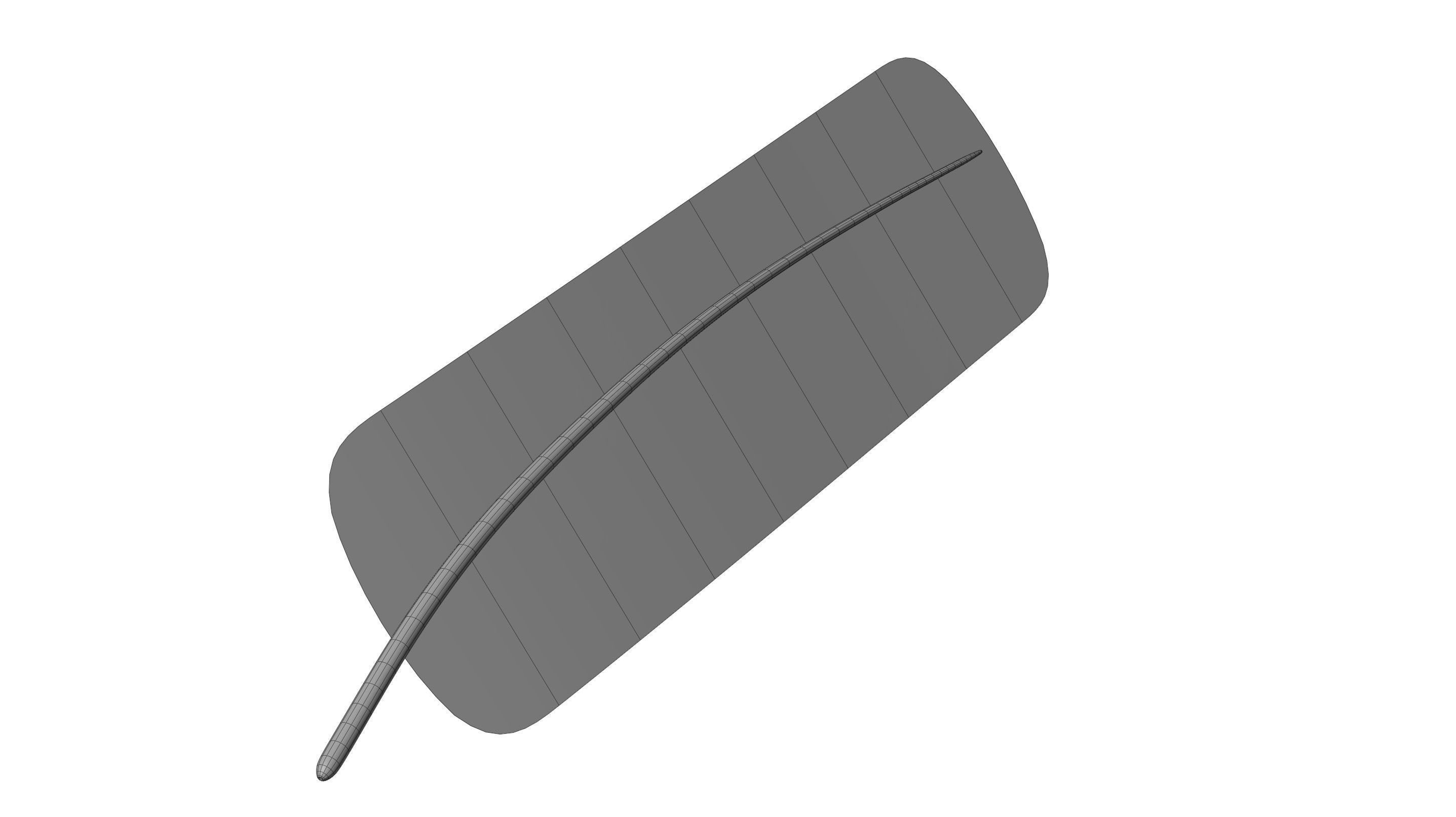 Crow Feather 3D model_31