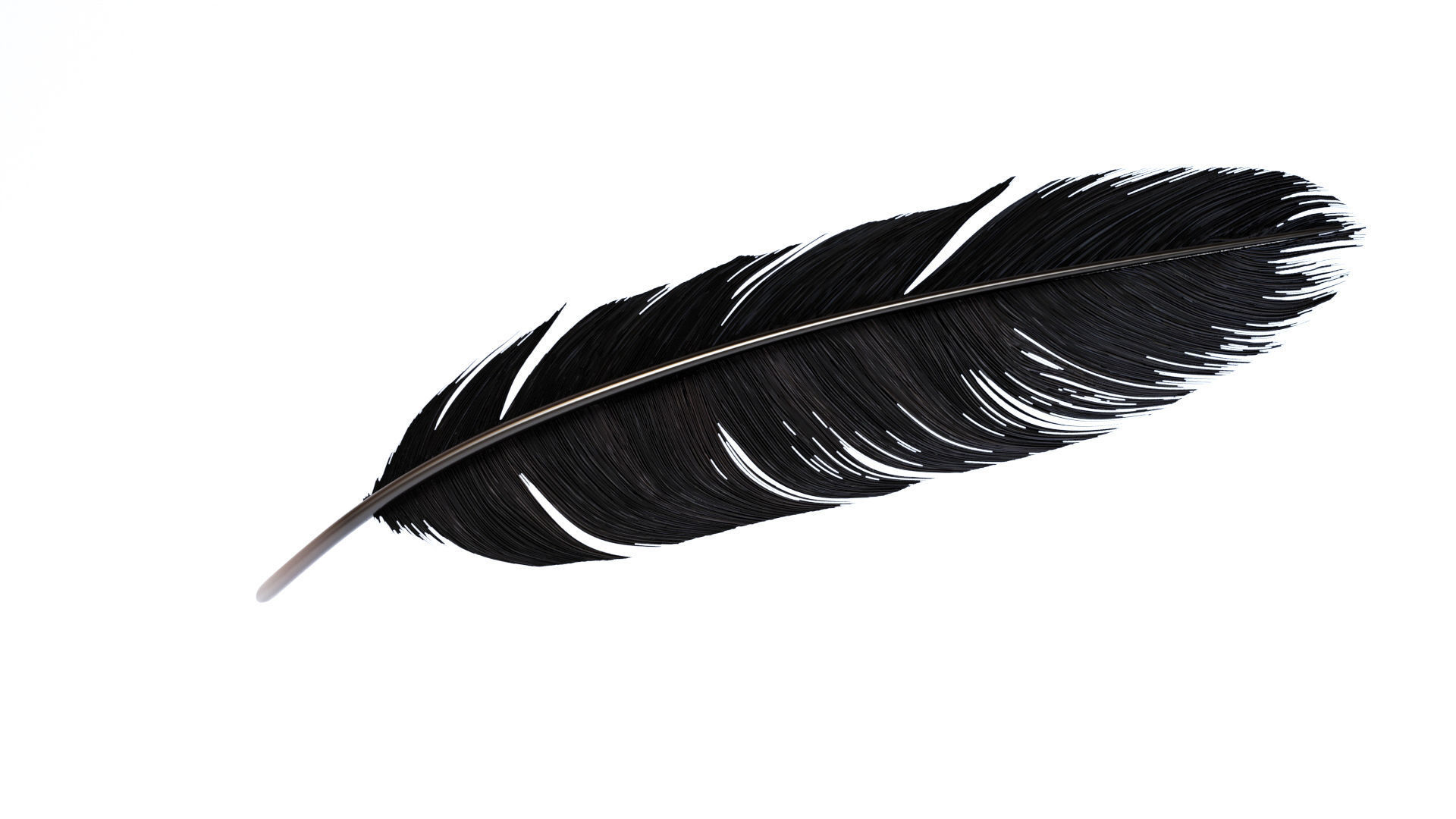 Crow Feather 3D model_17