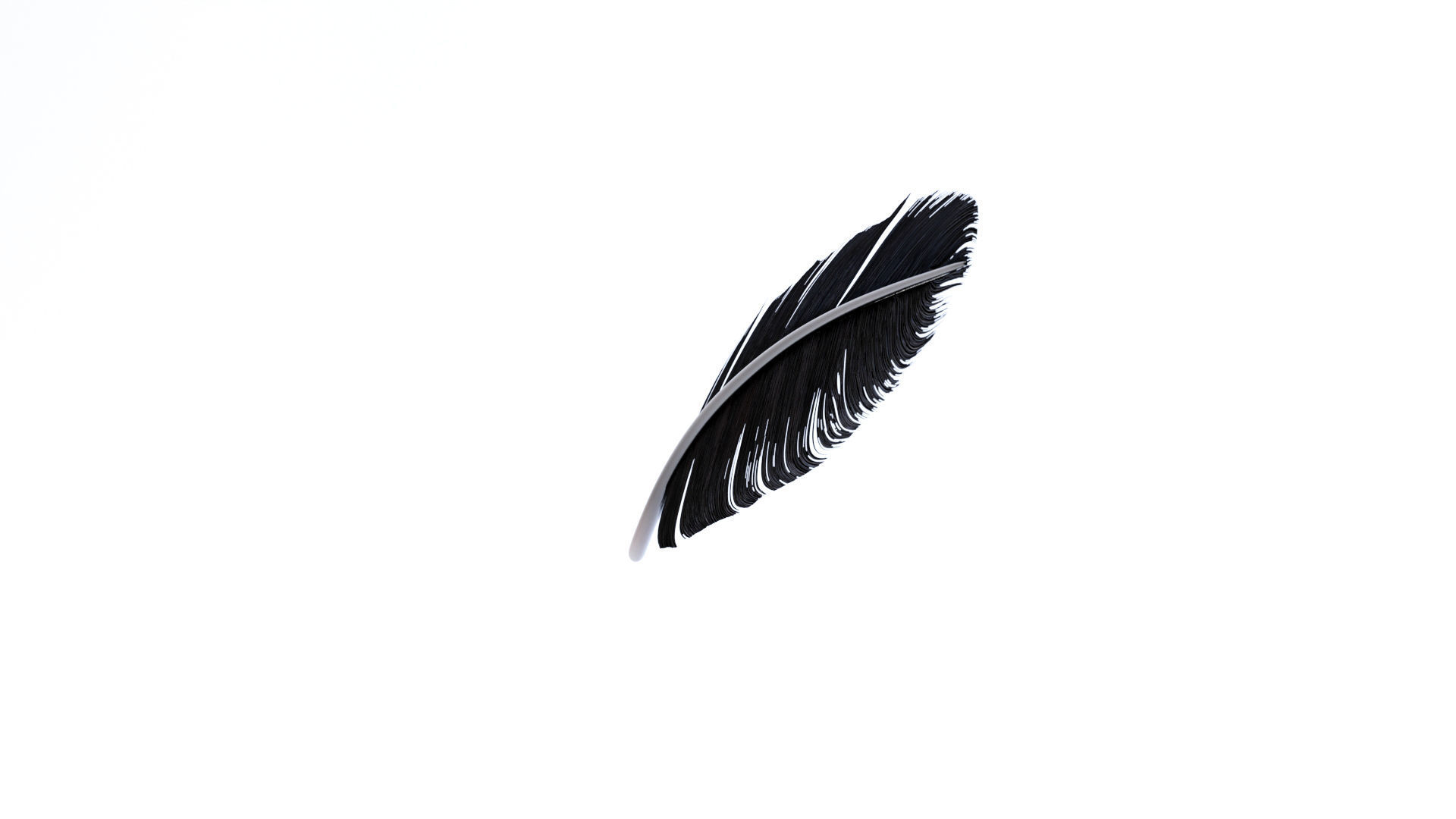 Crow Feather 3D model_18