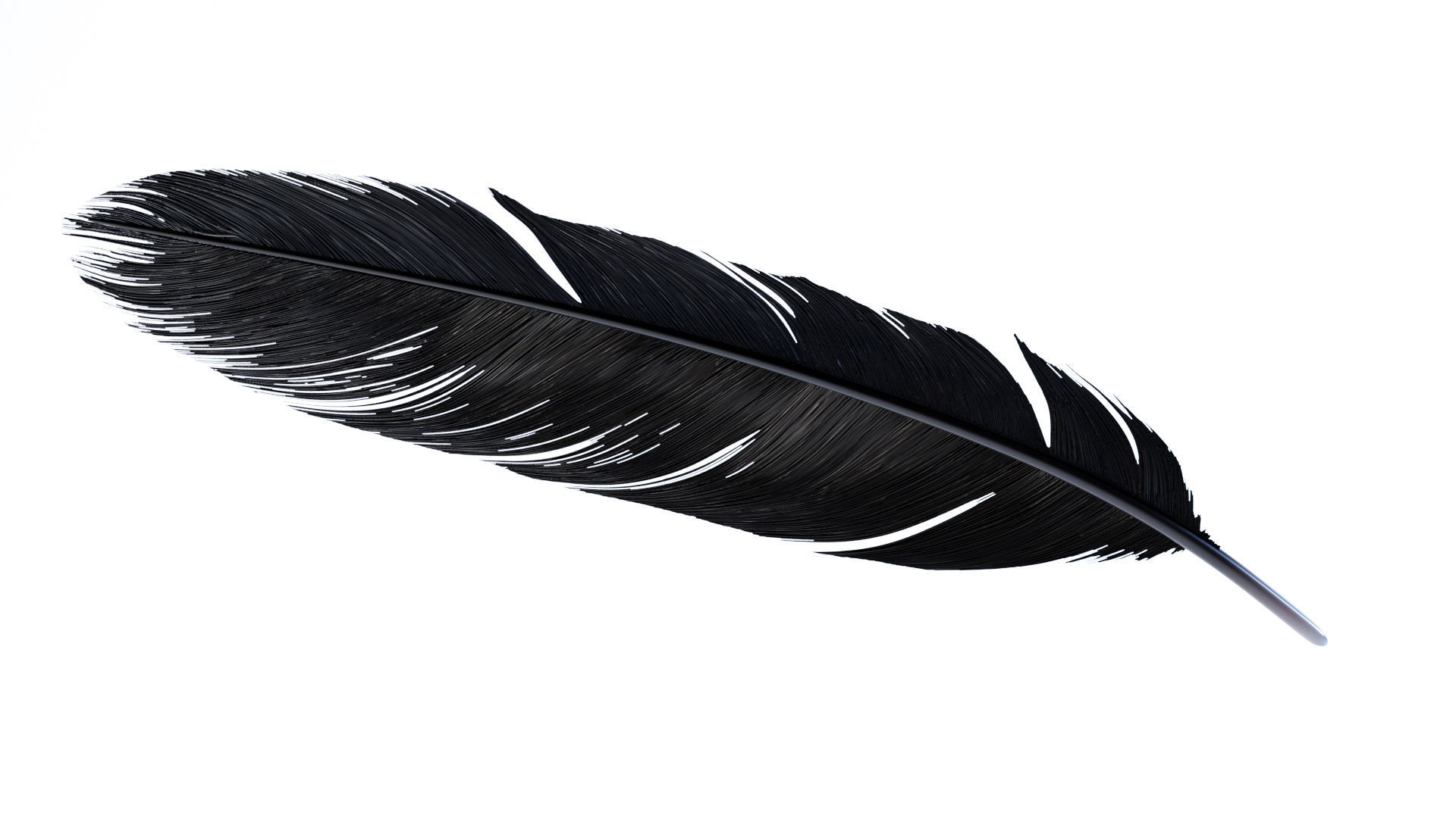 Crow Feather 3D model_20