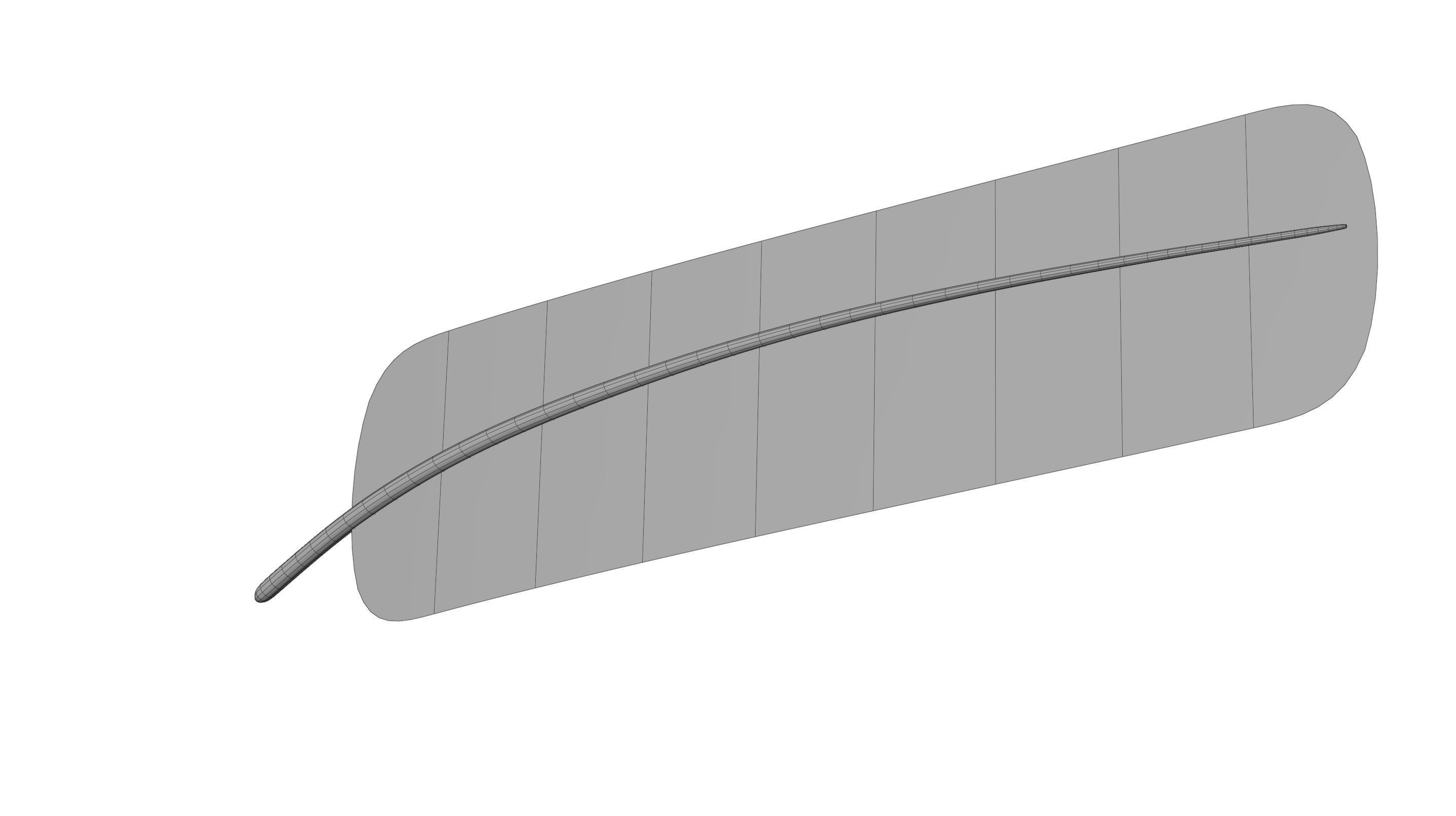 Crow Feather 3D model_25