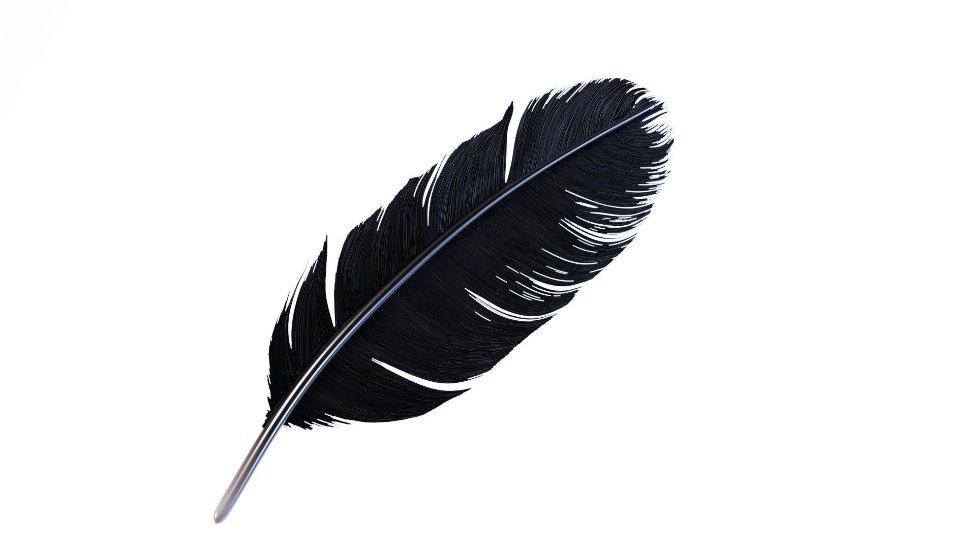 Crow Feather 3D model_23