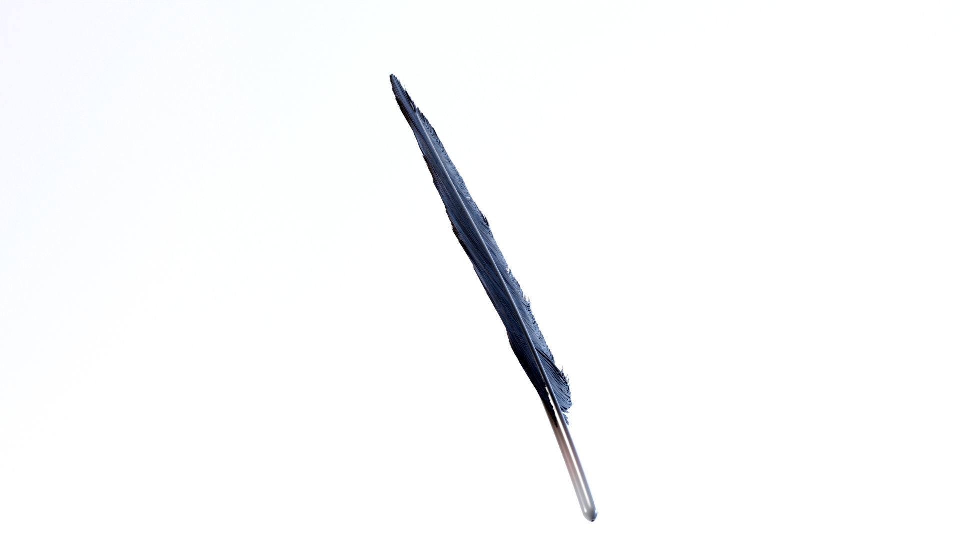 Crow Feather 3D model_6