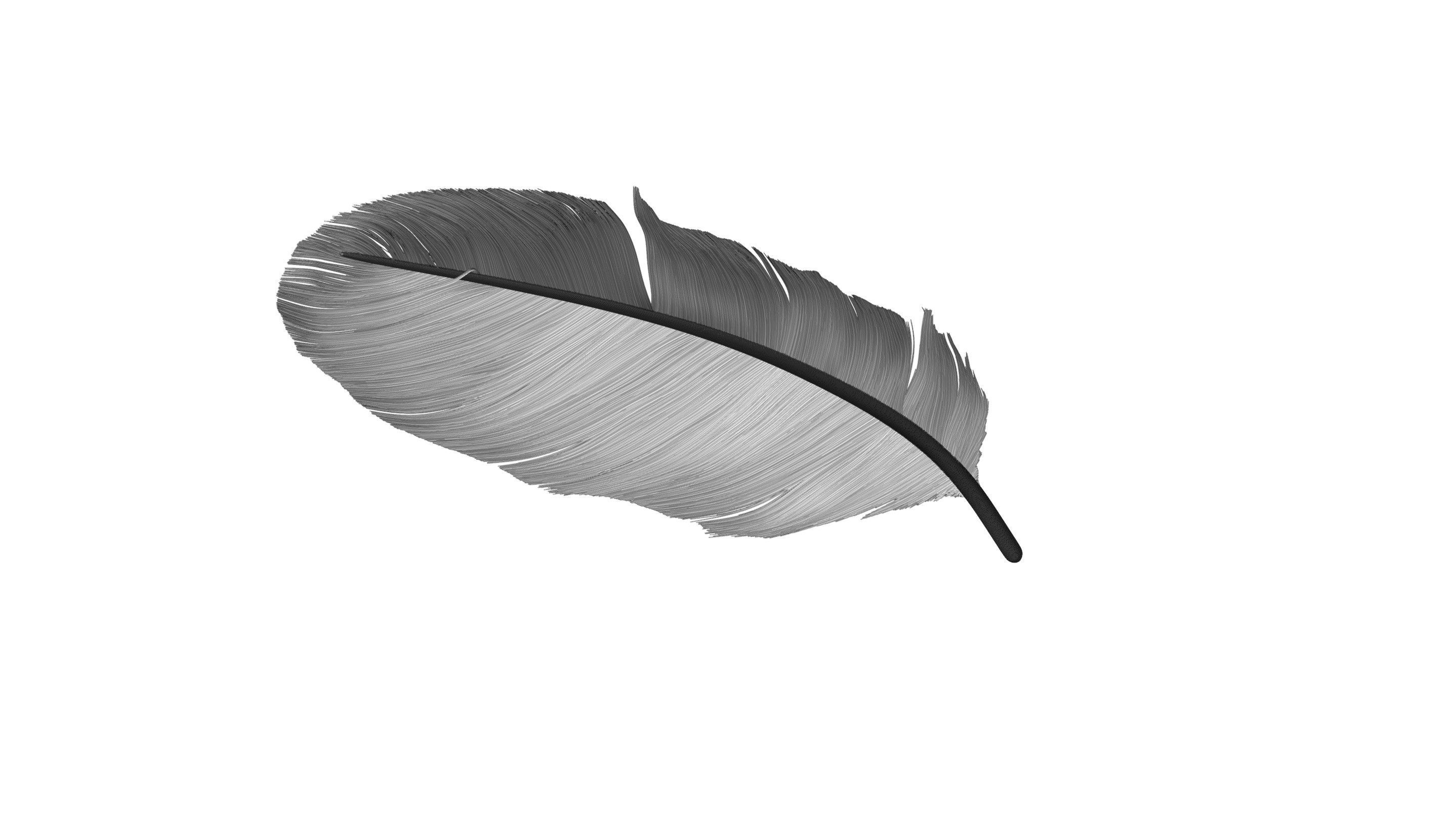 Crow Feather 3D model_11