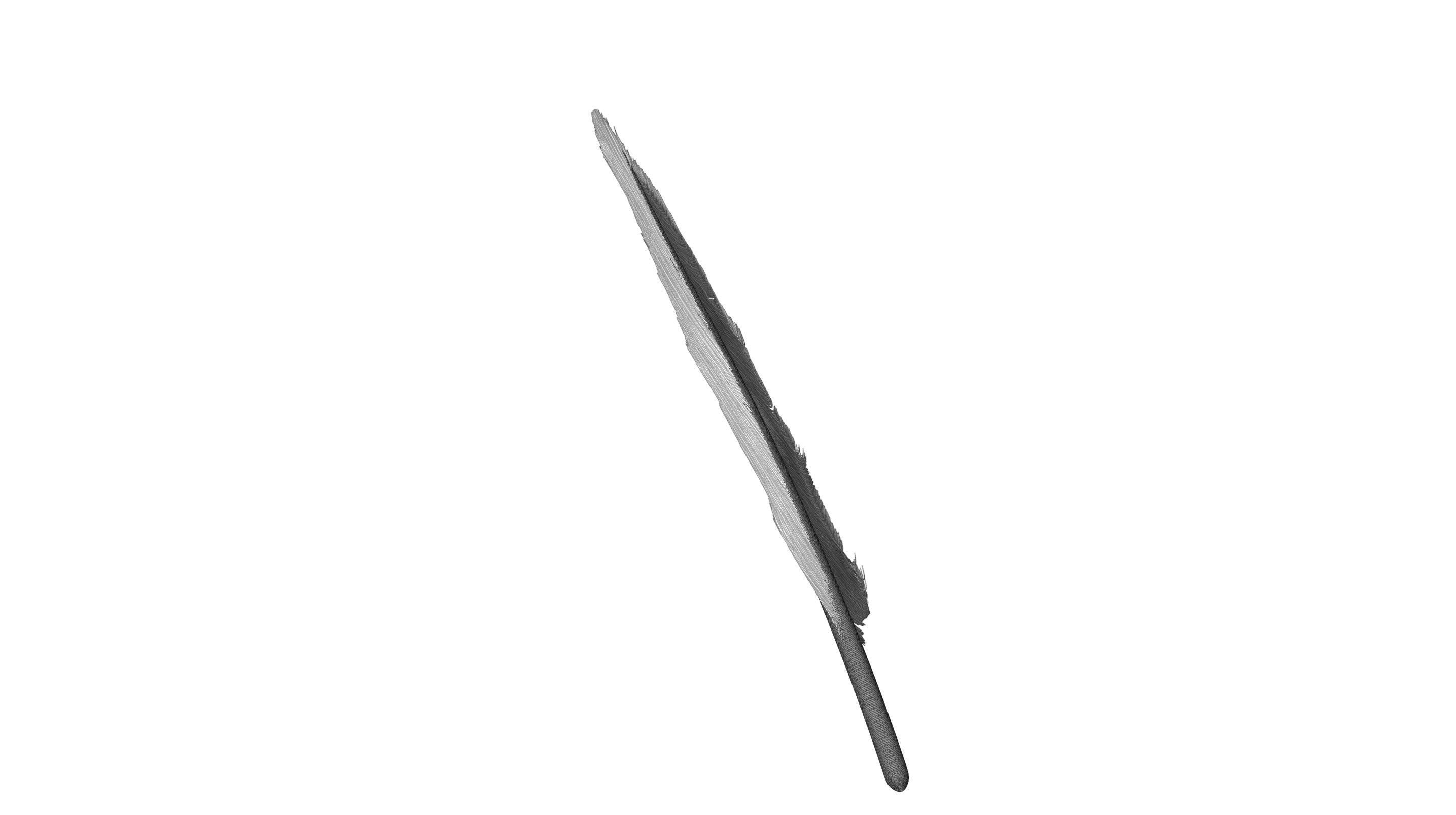 Crow Feather 3D model_14