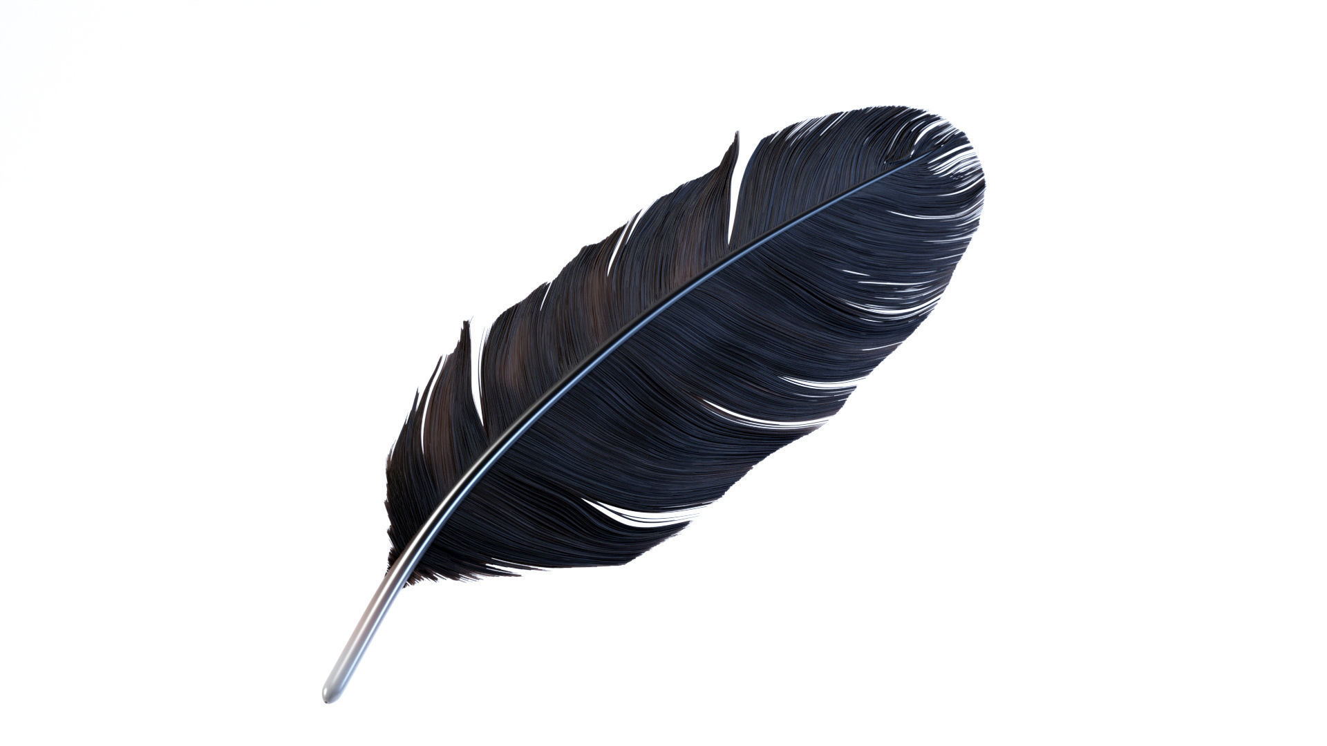 Crow Feather 3D model_7