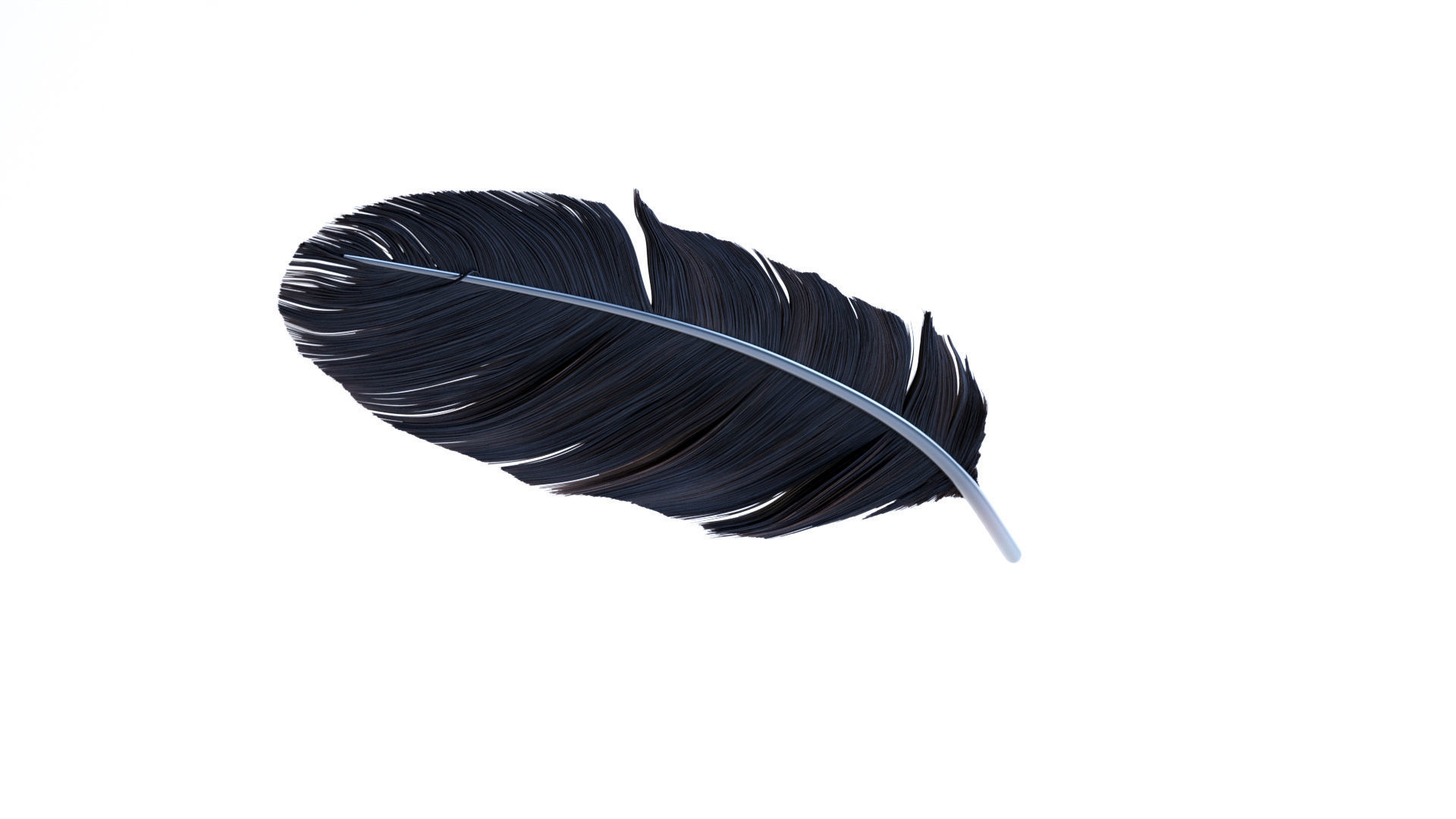 Crow Feather 3D model_3