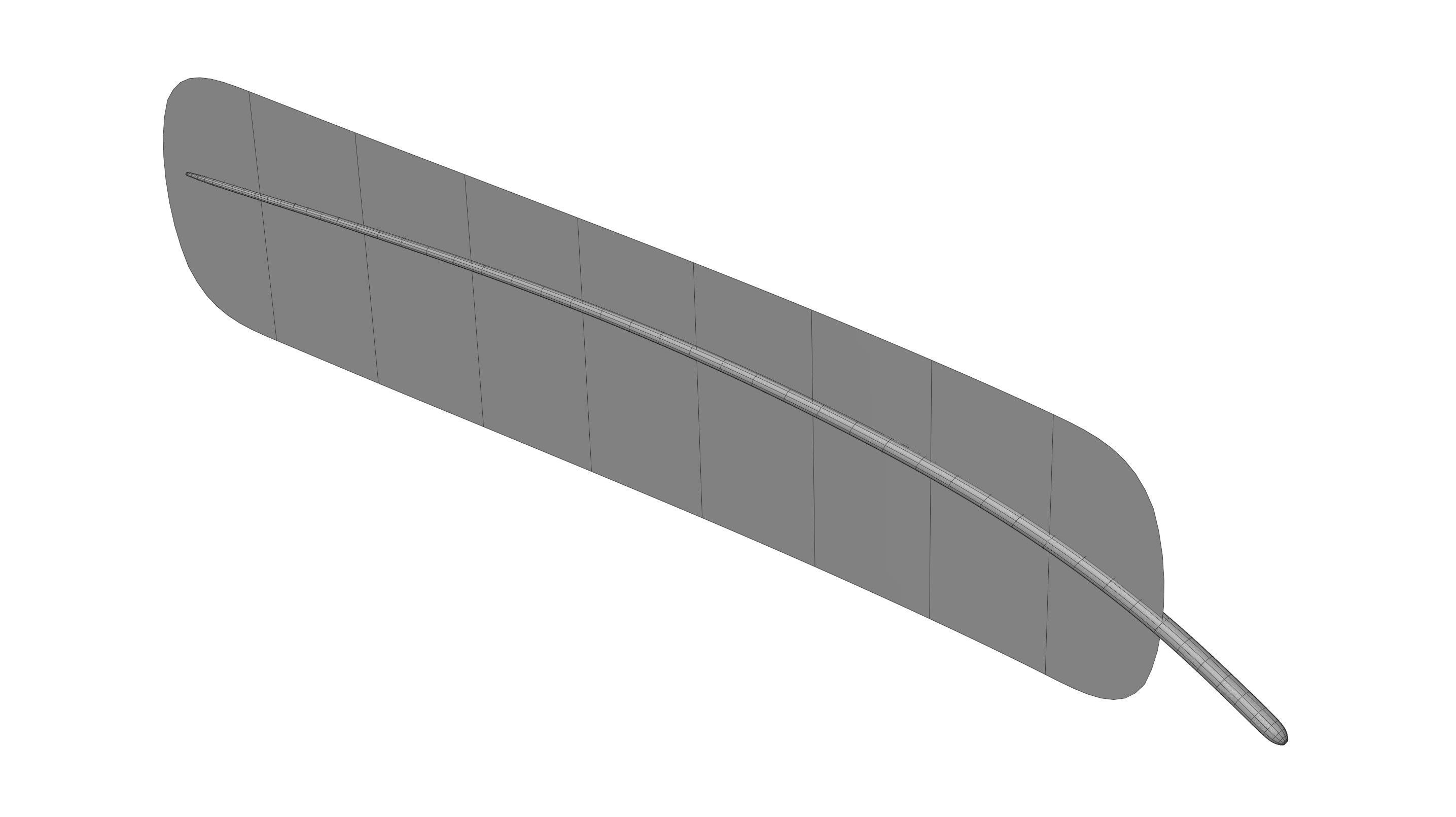 Crow Feather 3D model_29