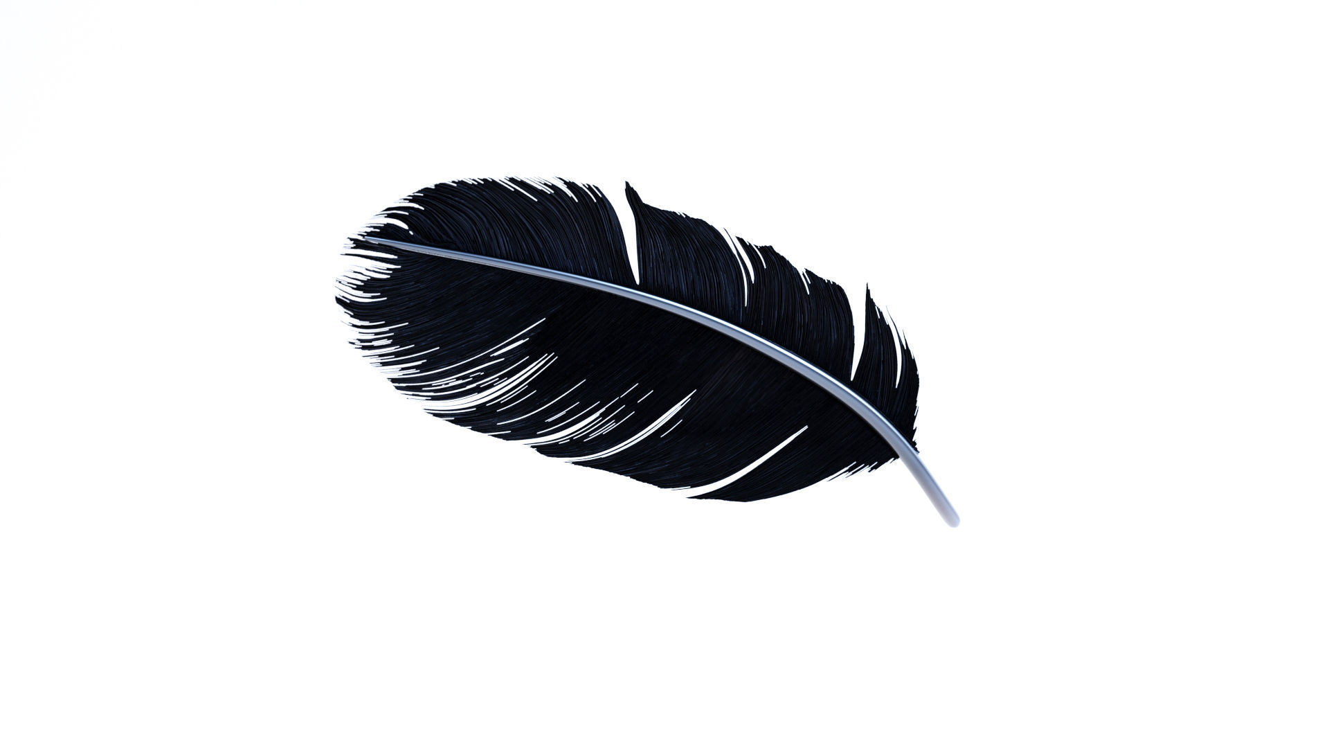 Crow Feather 3D model_19