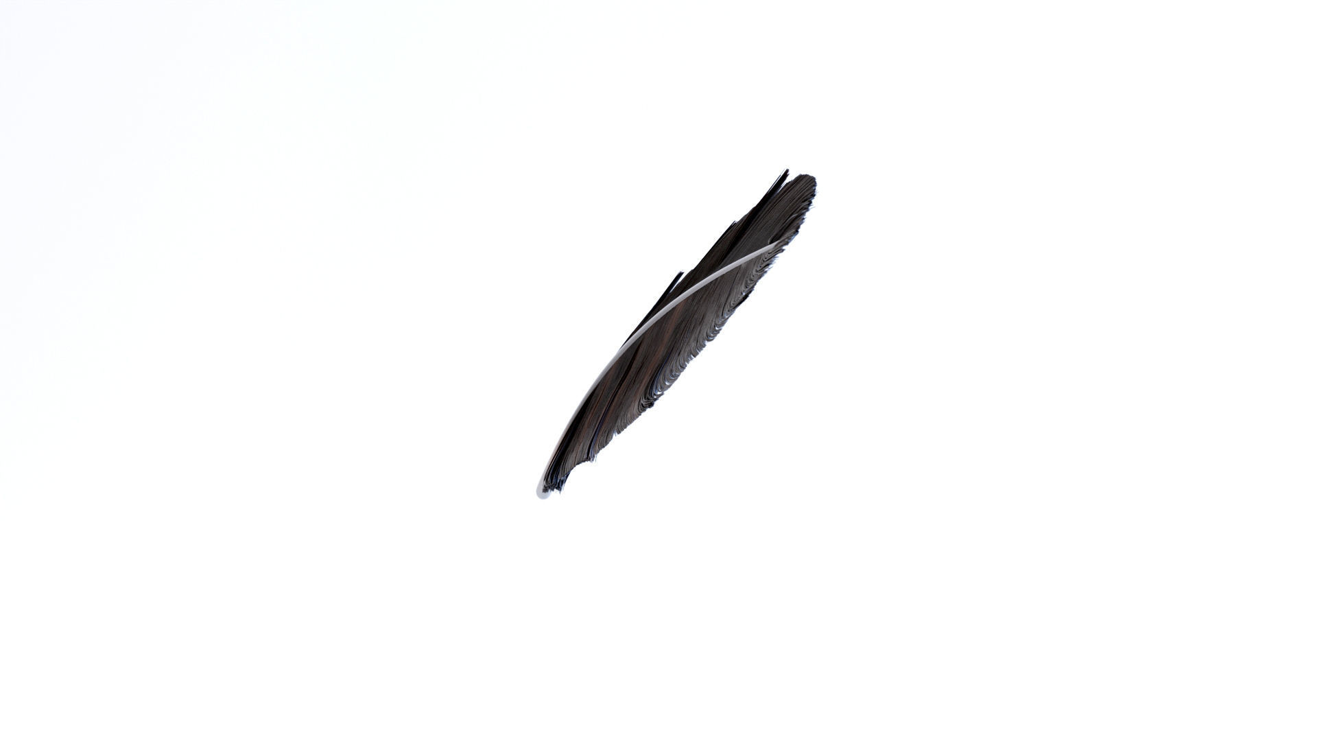 Crow Feather 3D model_2