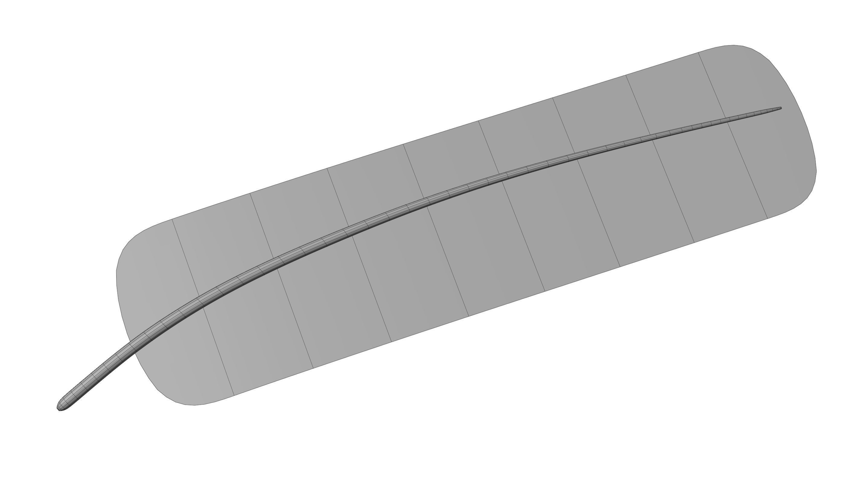 Crow Feather 3D model_32