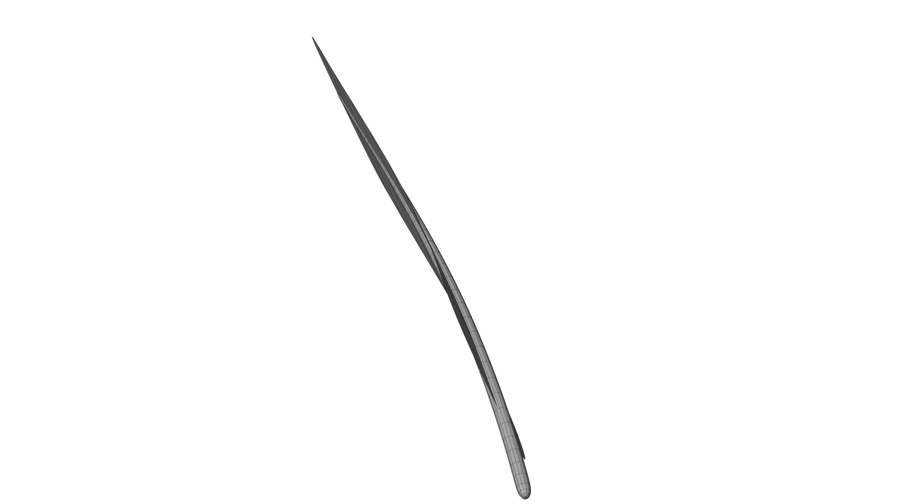 Crow Feather 3D model_30