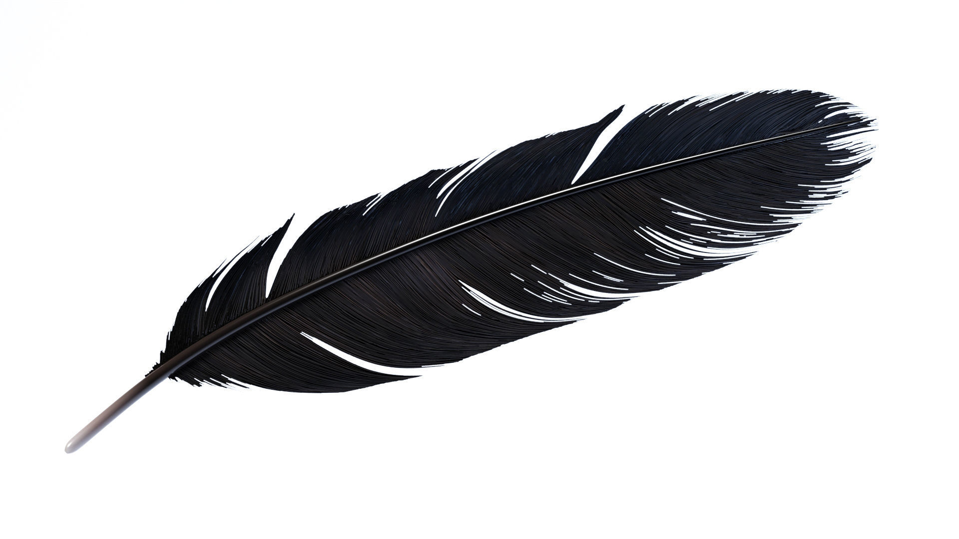 Crow Feather 3D model_24