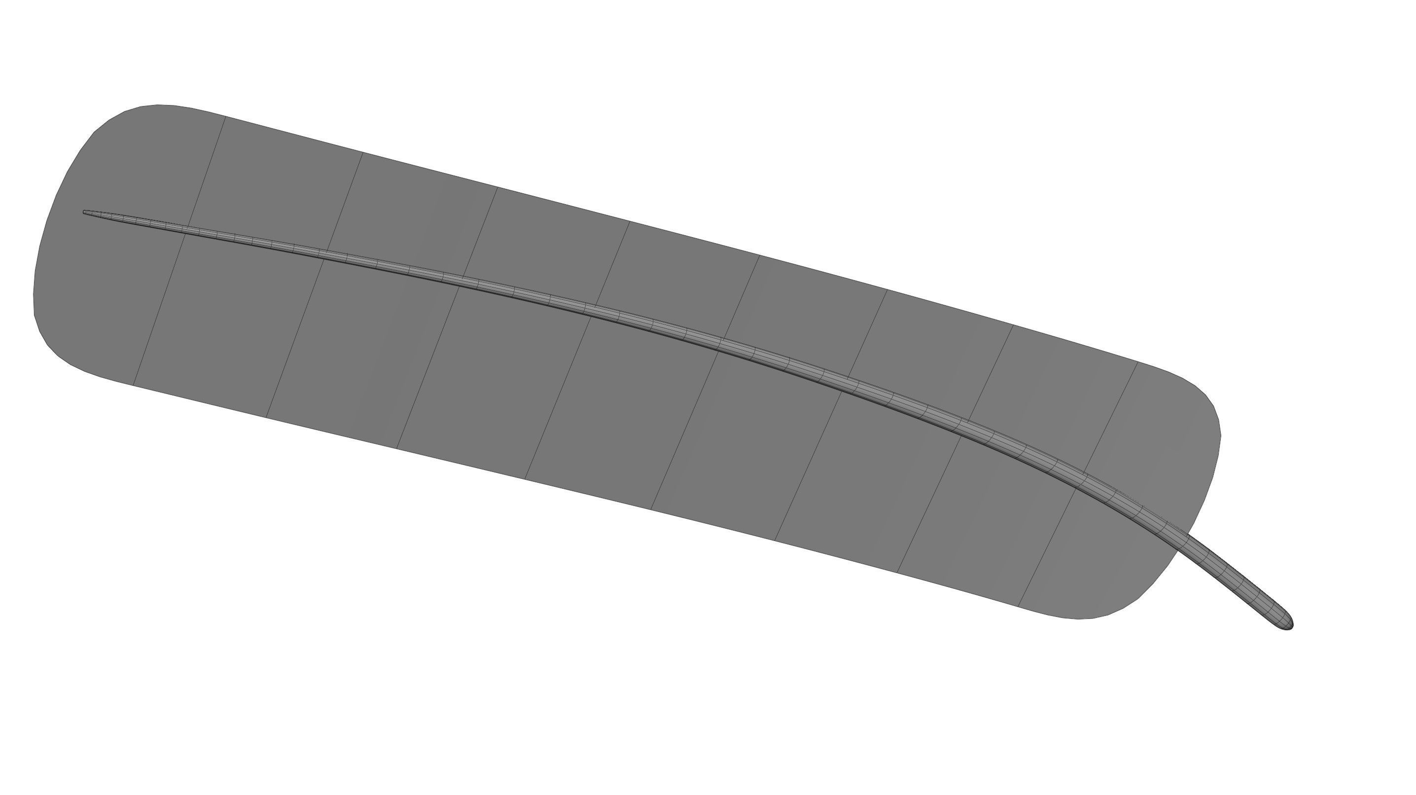 Crow Feather 3D model_28