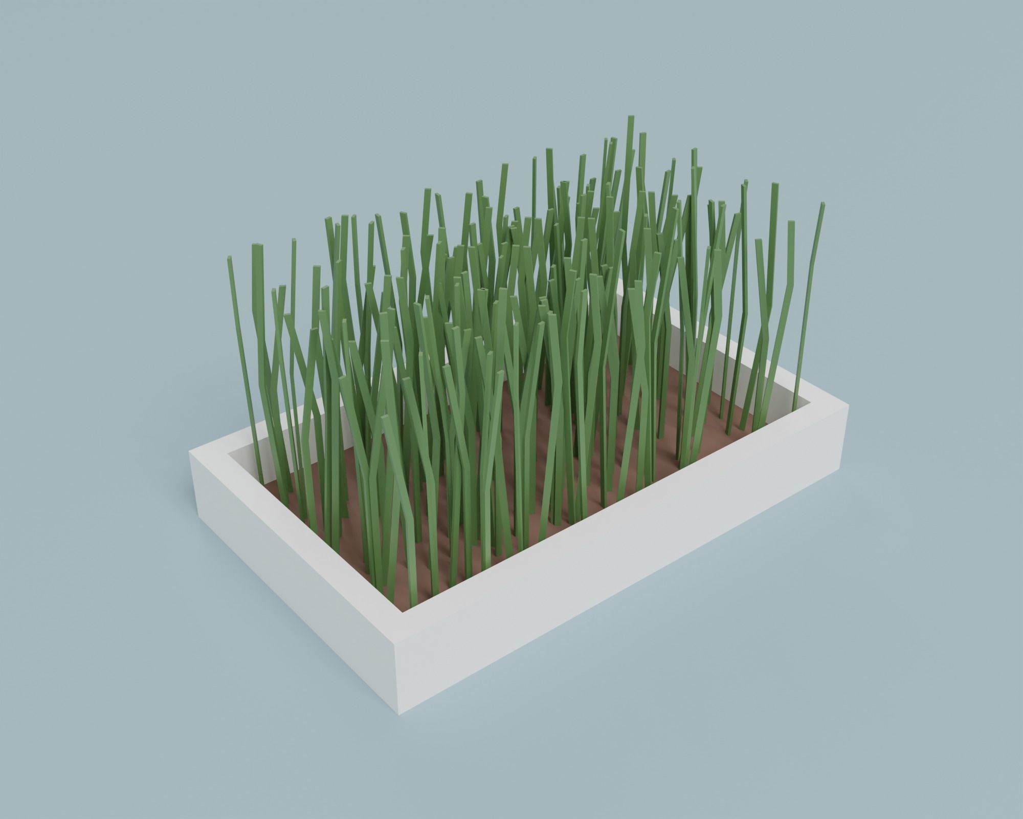 Pet accessories  Low-poly 3D model_7