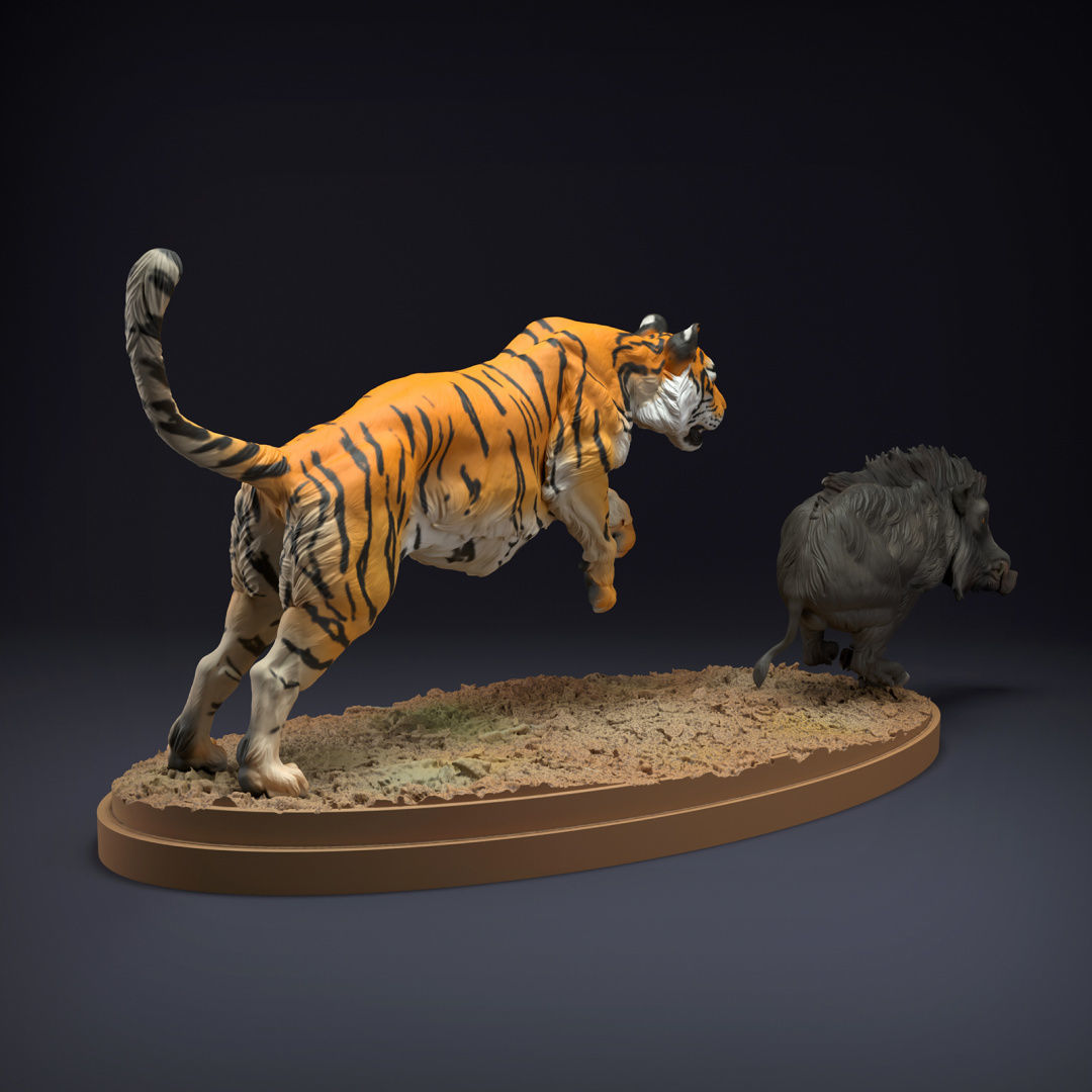 Bengal Tiger and Indian Boar Hunt for 3D Printing 3D print model_3