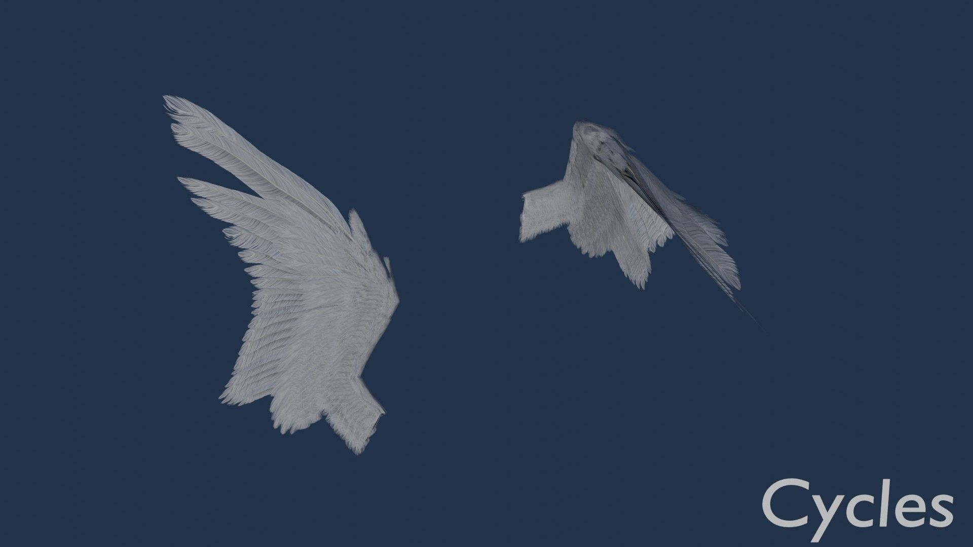 Wings cycles angel Low-poly 3D model_10
